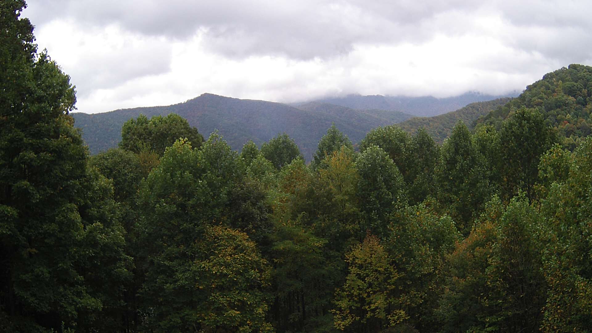 click for next image... slideshow image