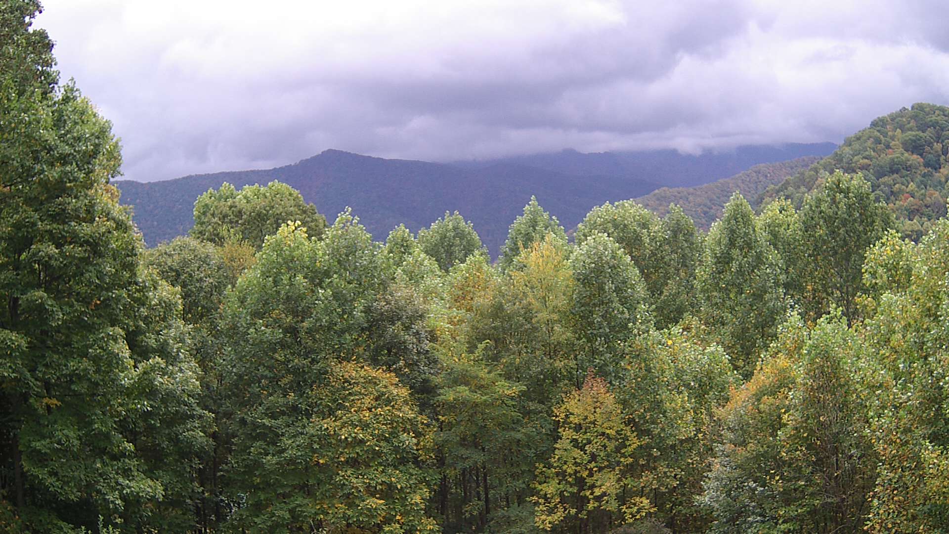 click for next image... slideshow image