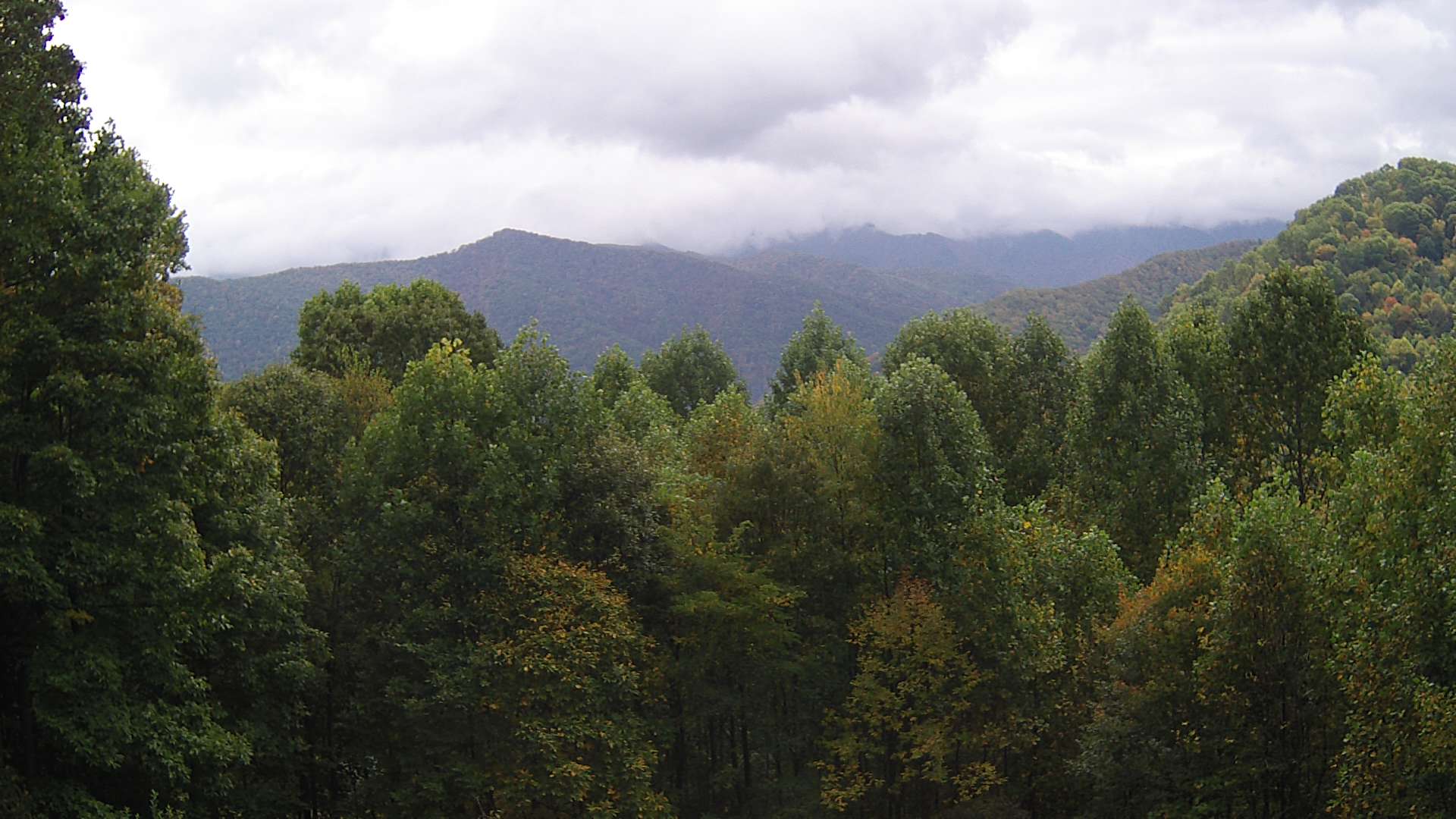 click for next image... slideshow image