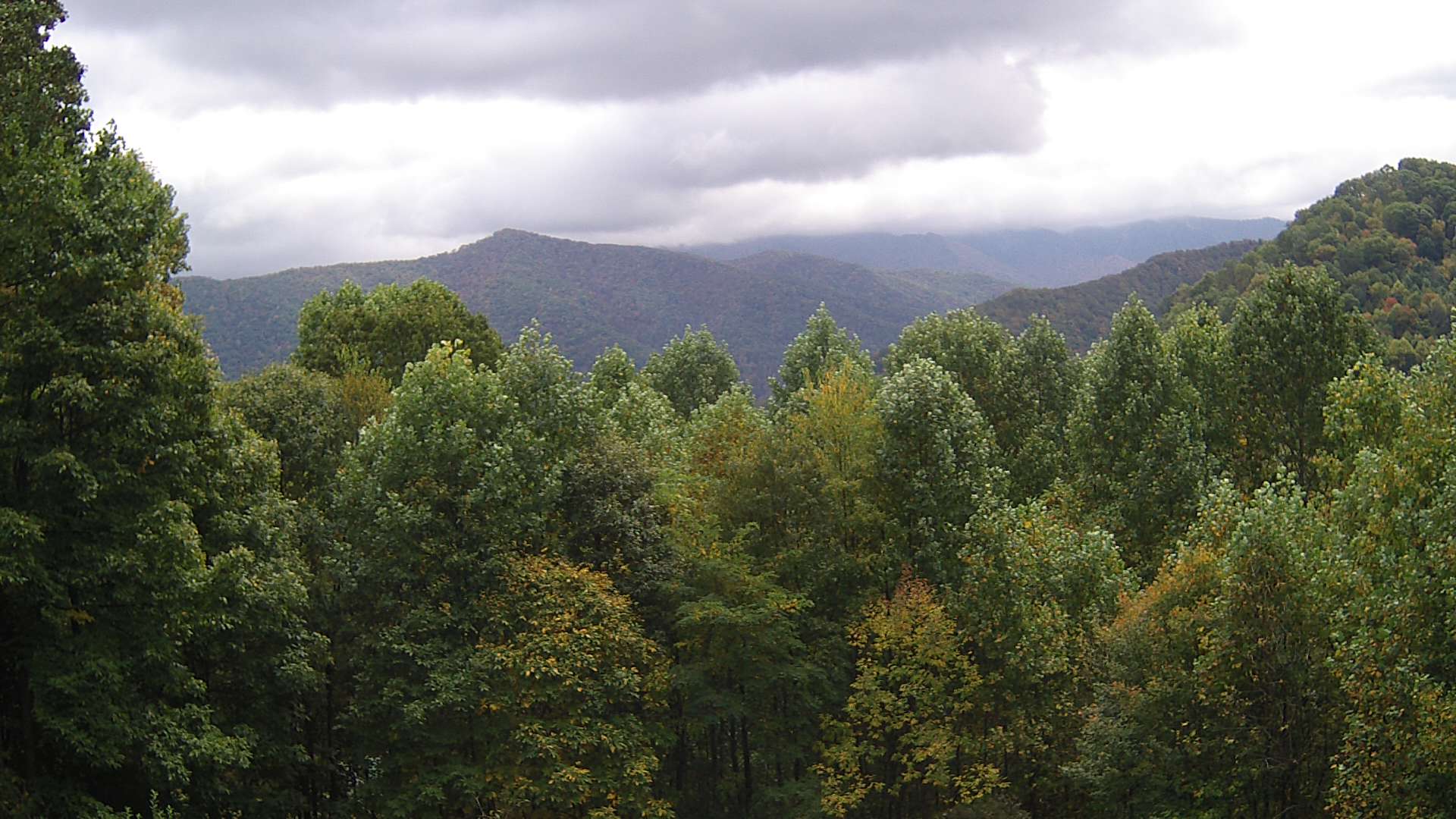 click for next image... slideshow image