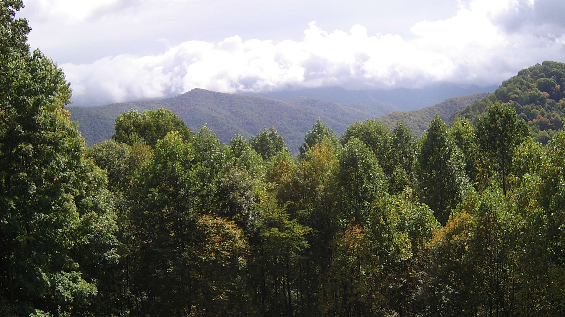 click for next image... slideshow image