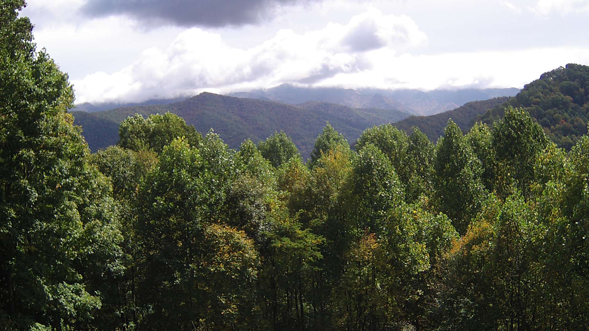 click for next image... slideshow image