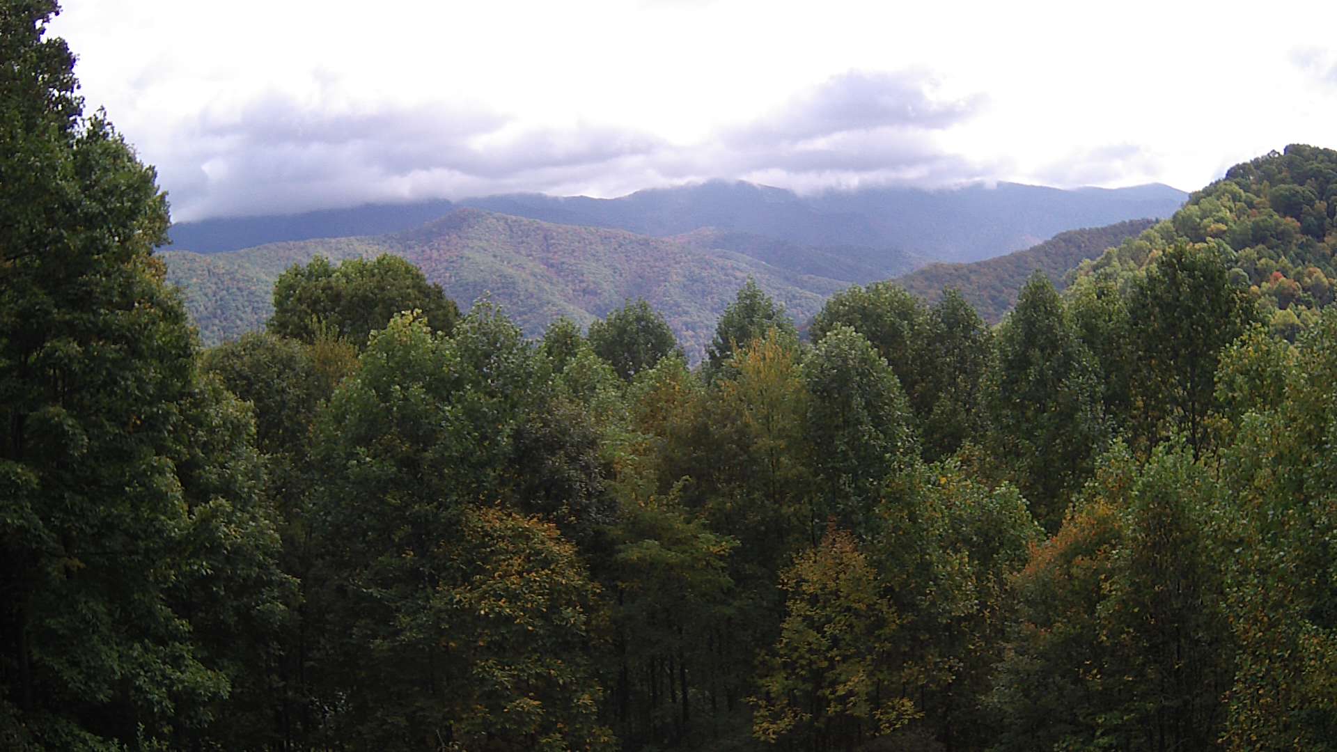 click for next image... slideshow image