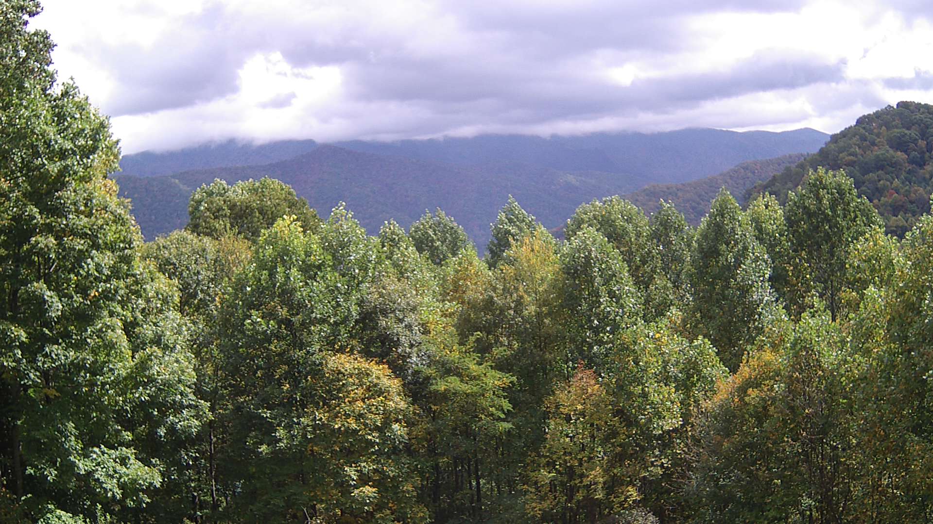 click for next image... slideshow image