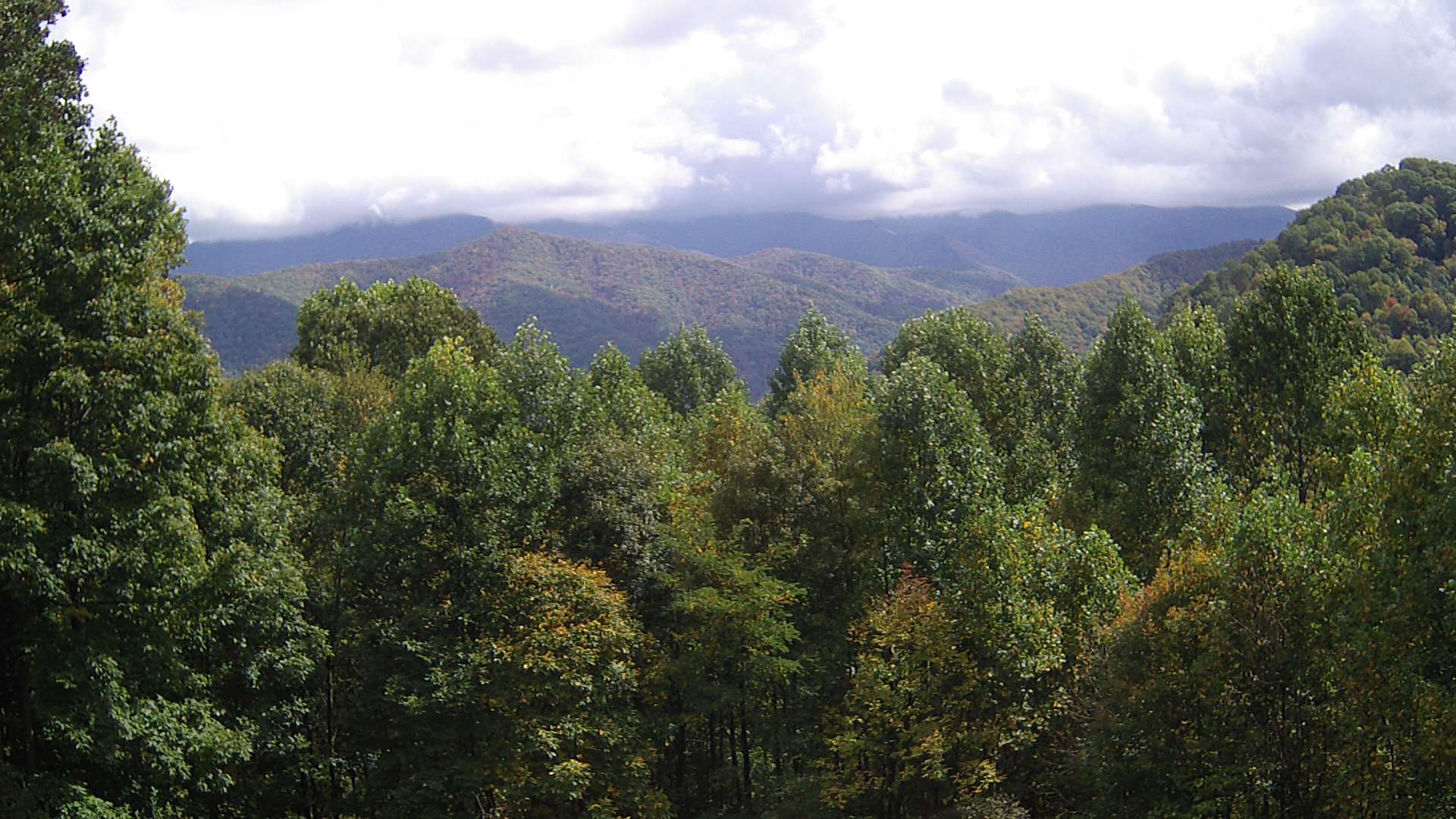 click for next image... slideshow image