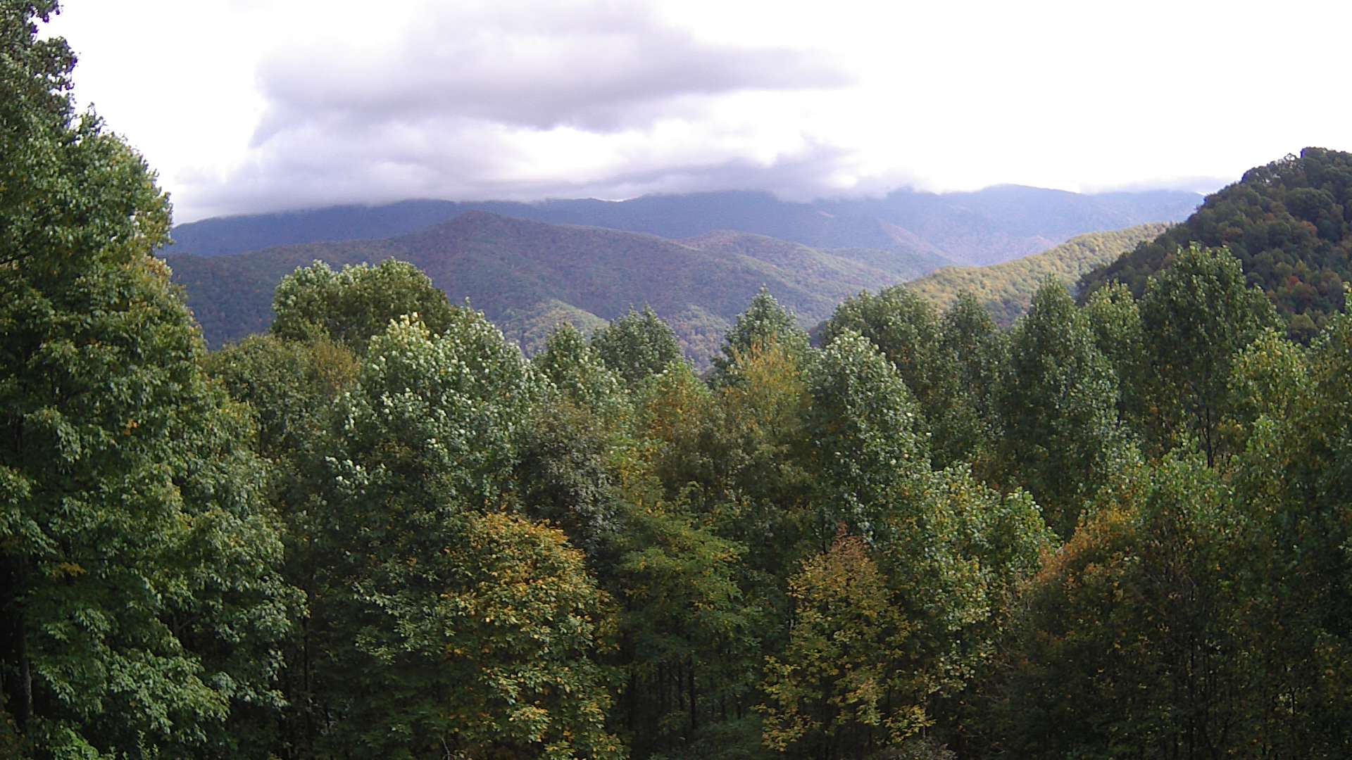 click for next image... slideshow image