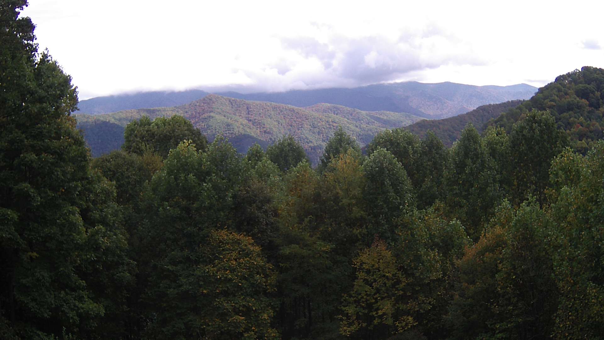 click for next image... slideshow image