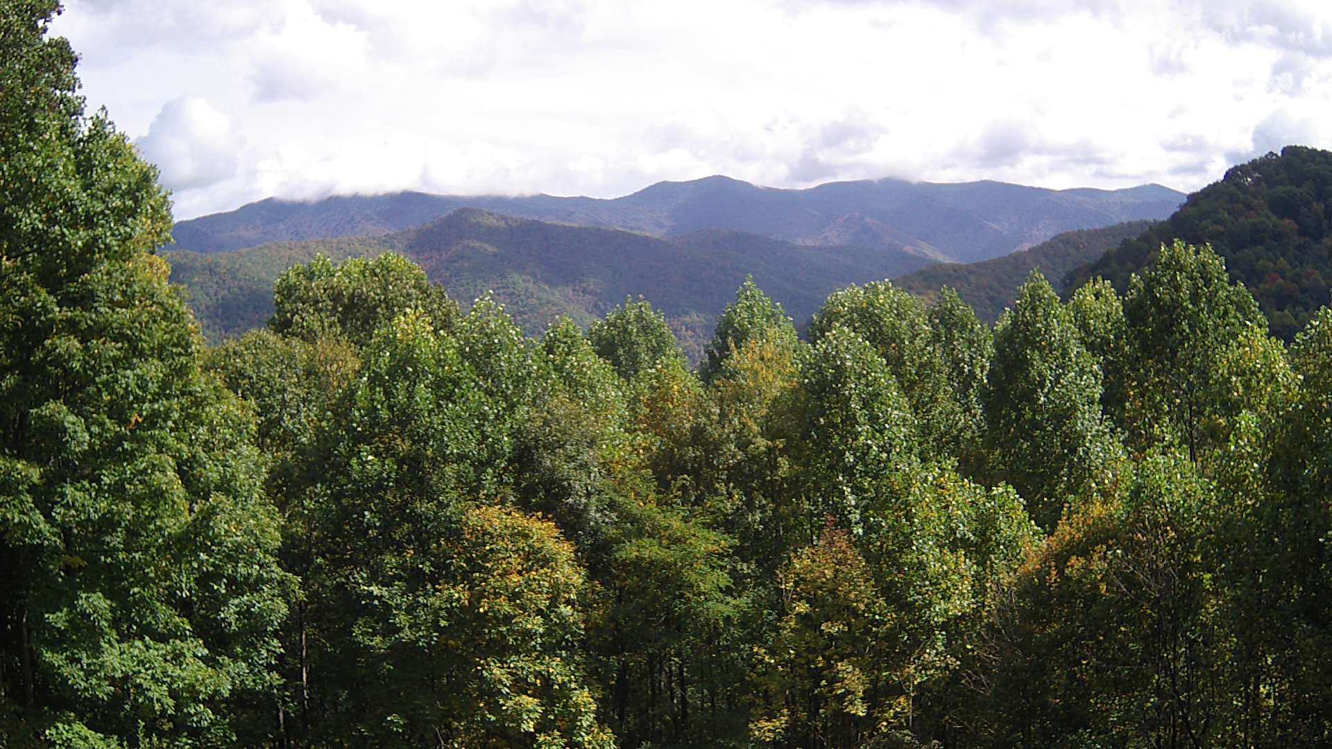 click for next image... slideshow image