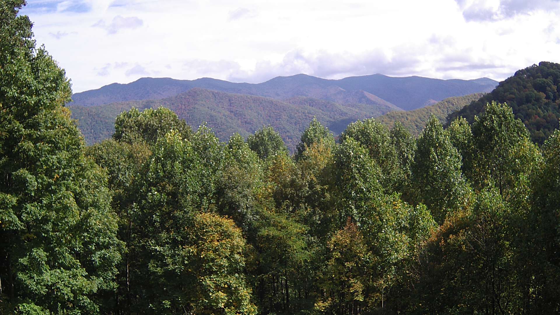 click for next image... slideshow image