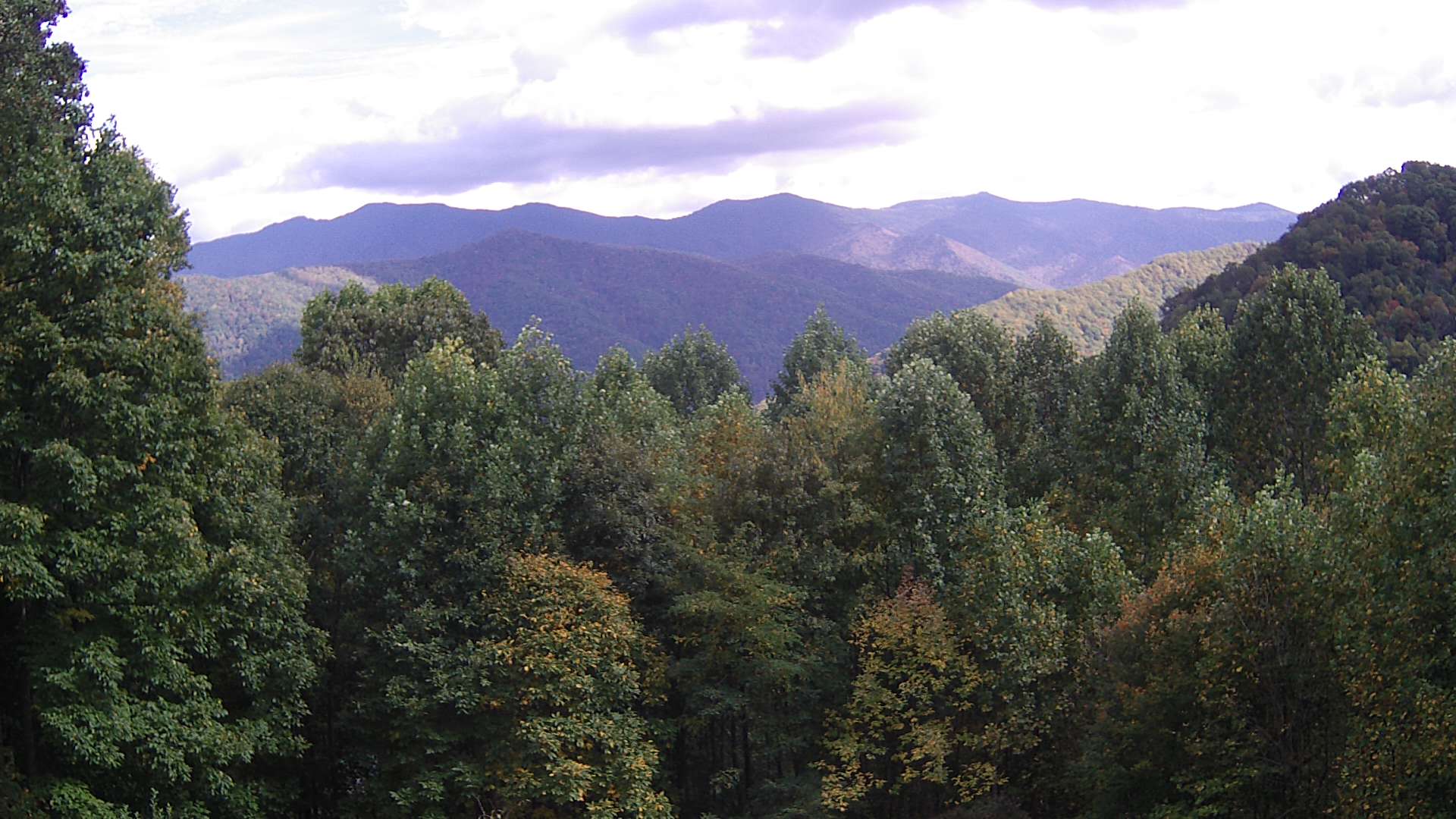 click for next image... slideshow image