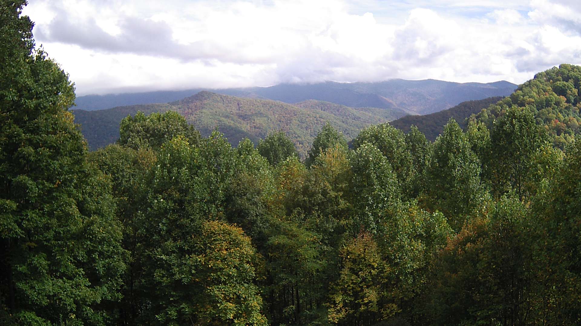 click for next image... slideshow image