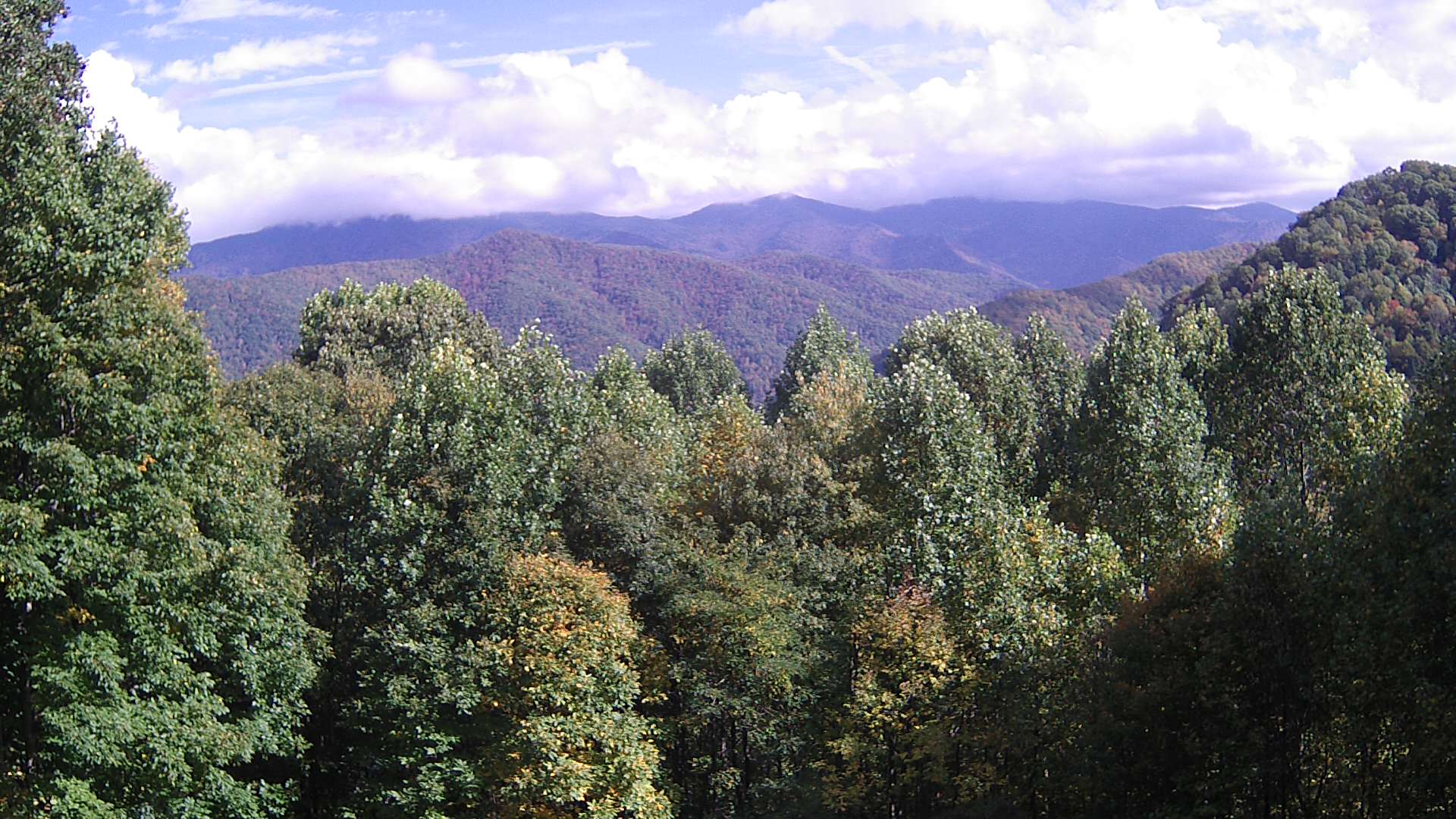 click for next image... slideshow image