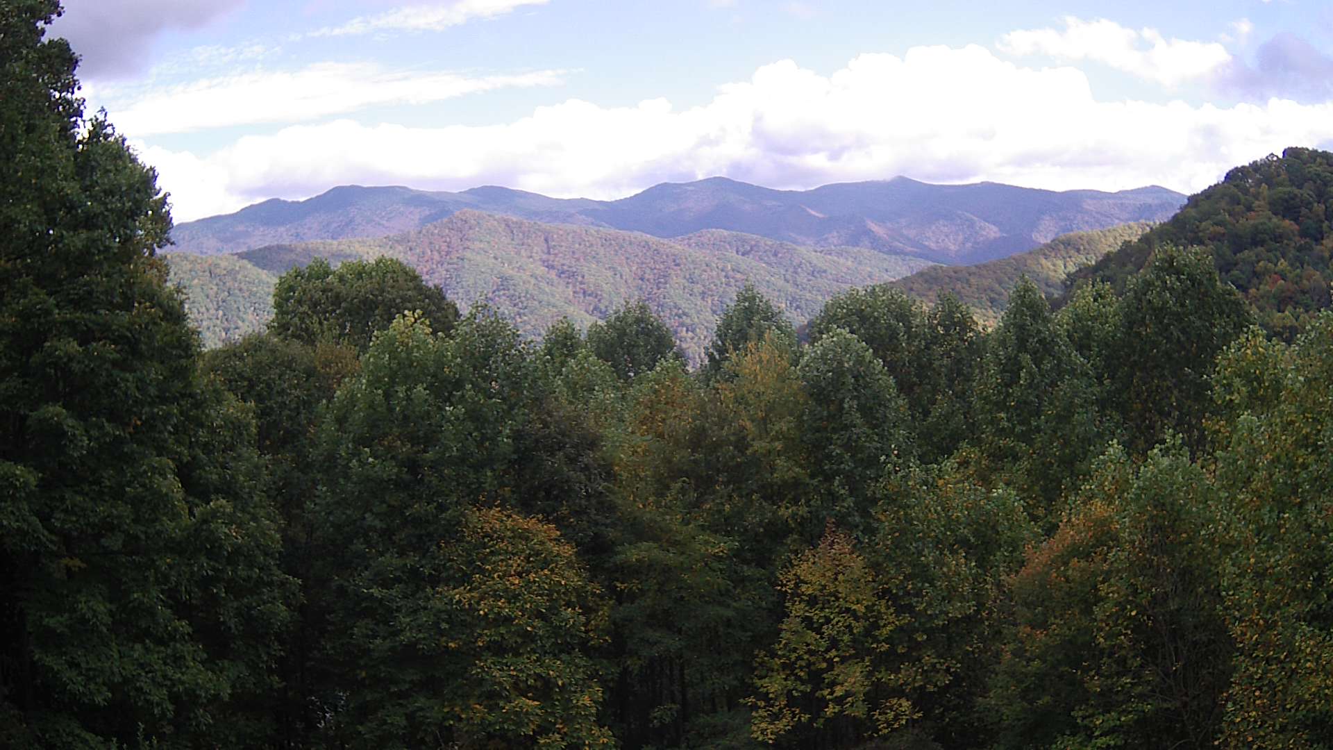 click for next image... slideshow image