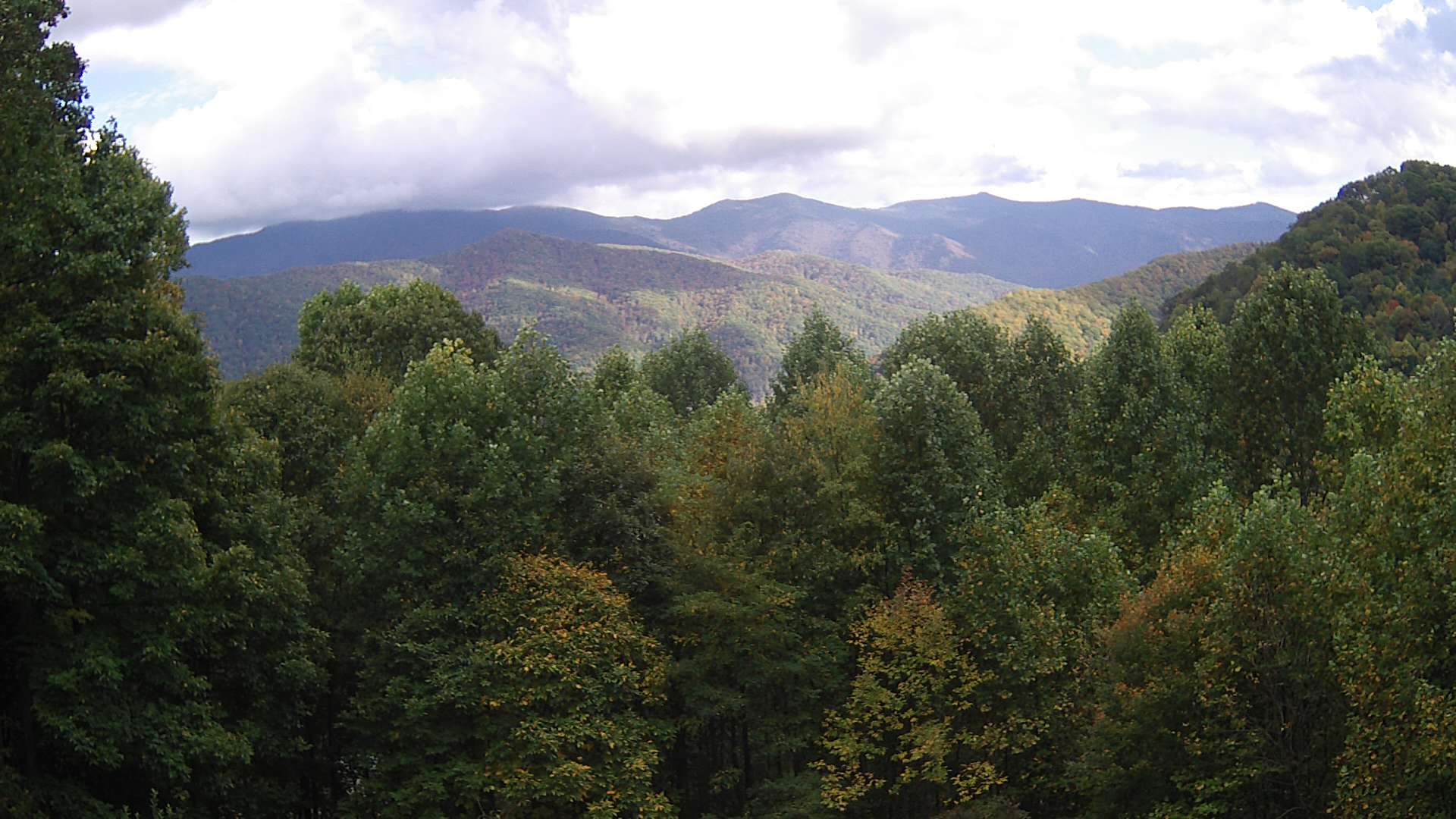 click for next image... slideshow image