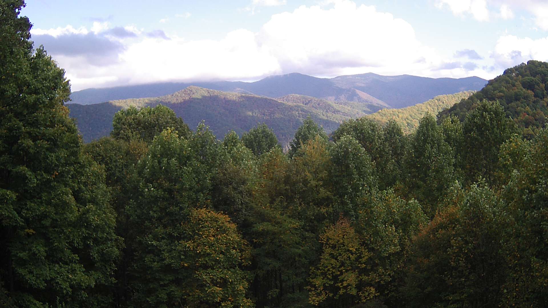 click for next image... slideshow image