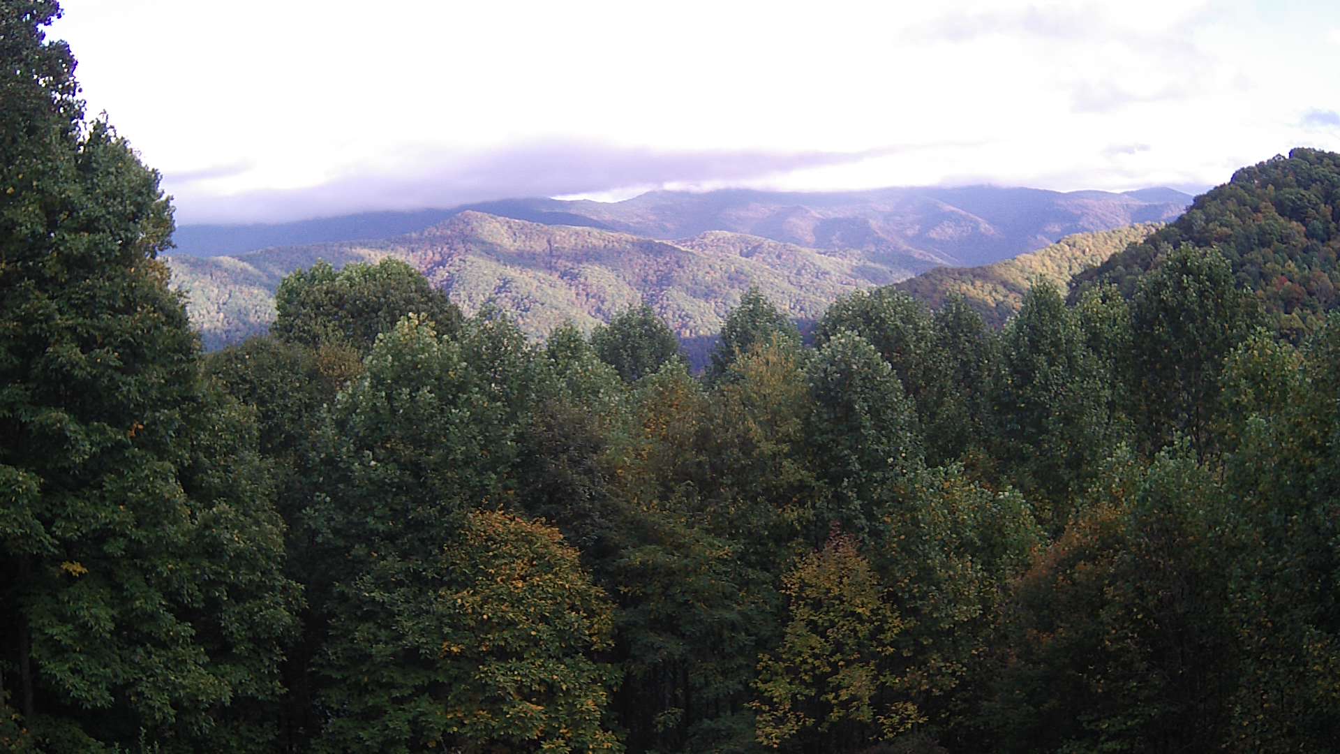 click for next image... slideshow image