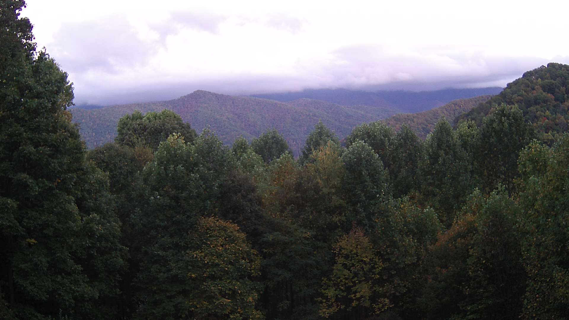 click for next image... slideshow image