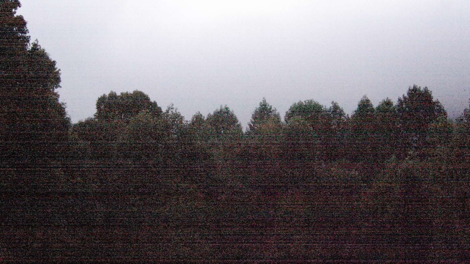 click for next image... slideshow image