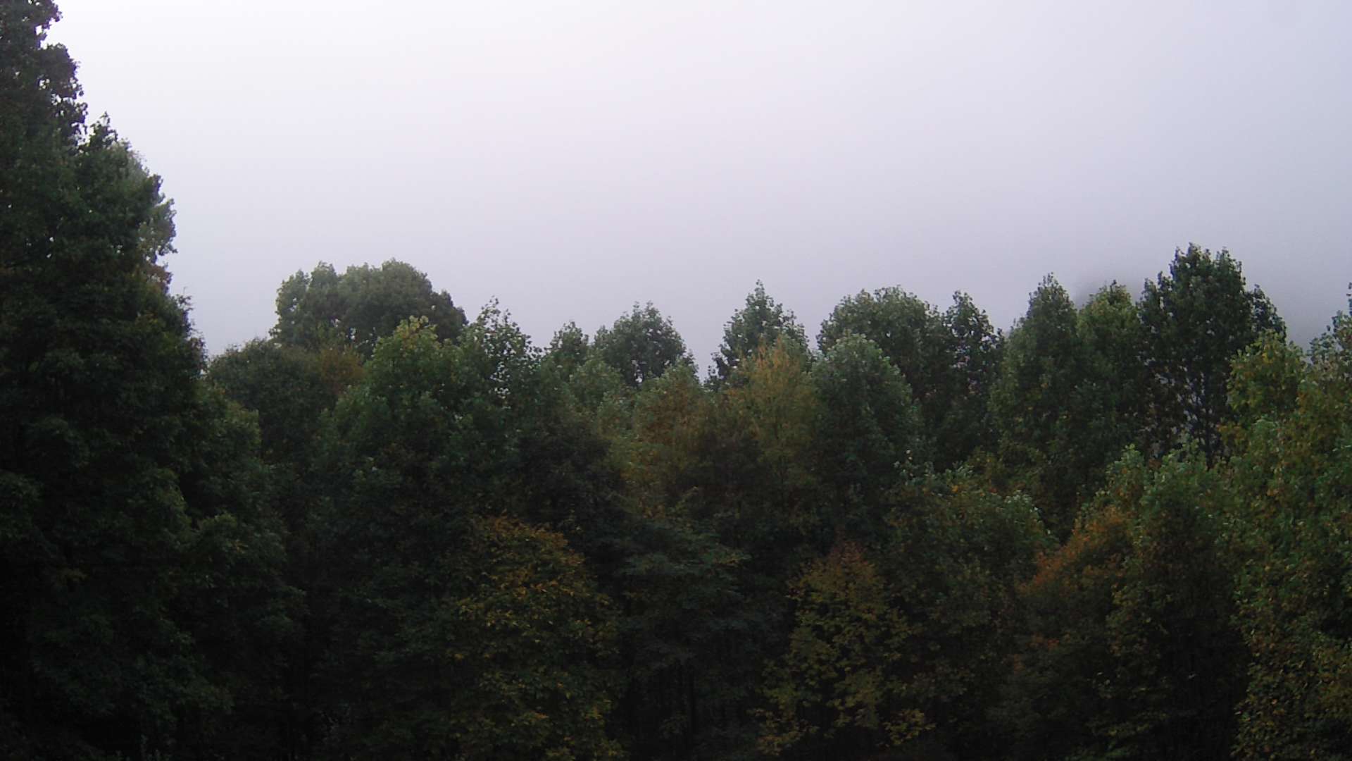 click for next image... slideshow image