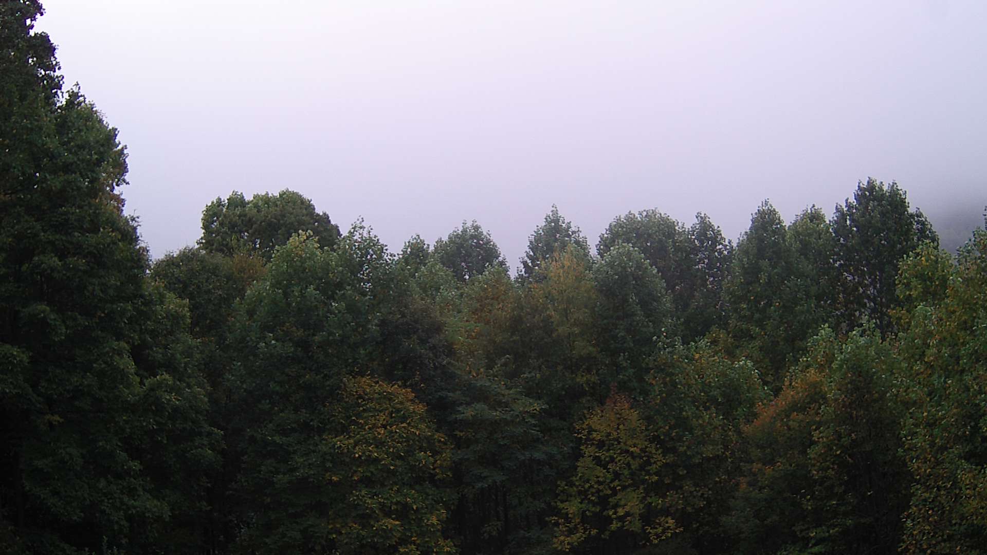 click for next image... slideshow image