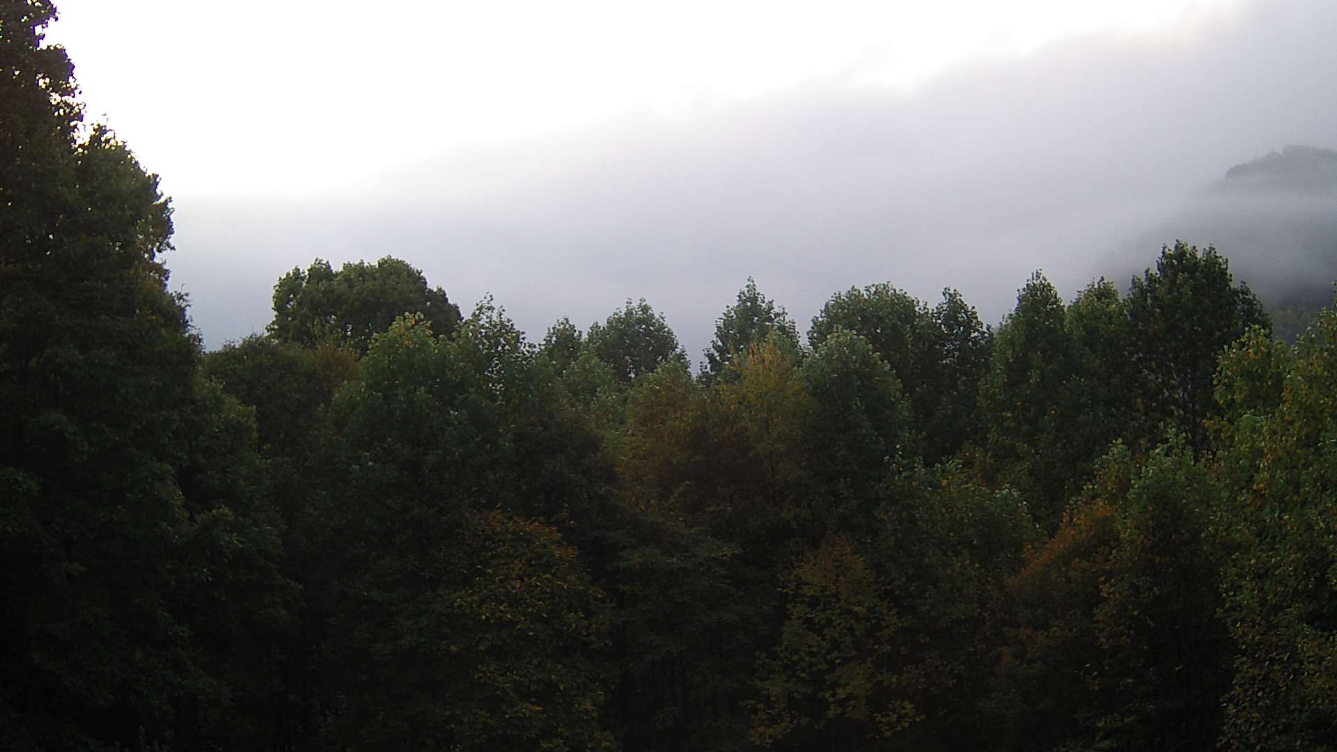 click for next image... slideshow image