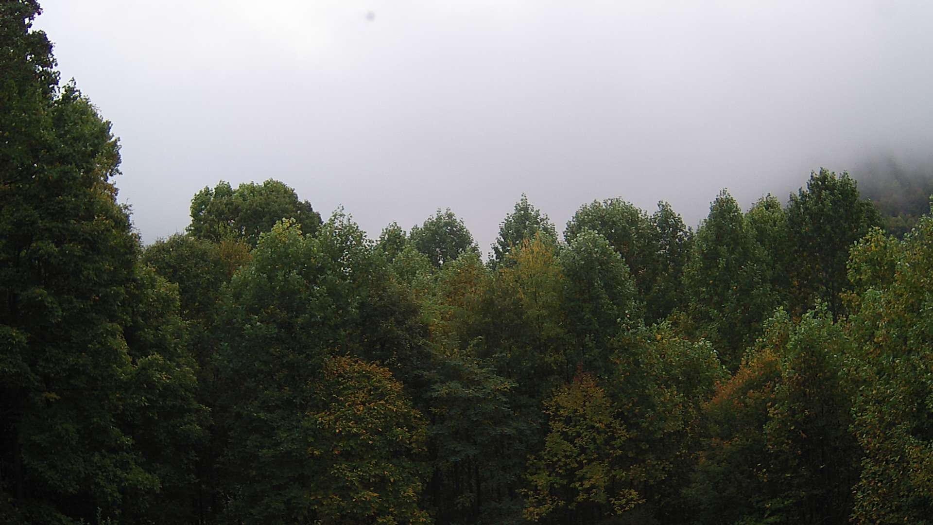 click for next image... slideshow image