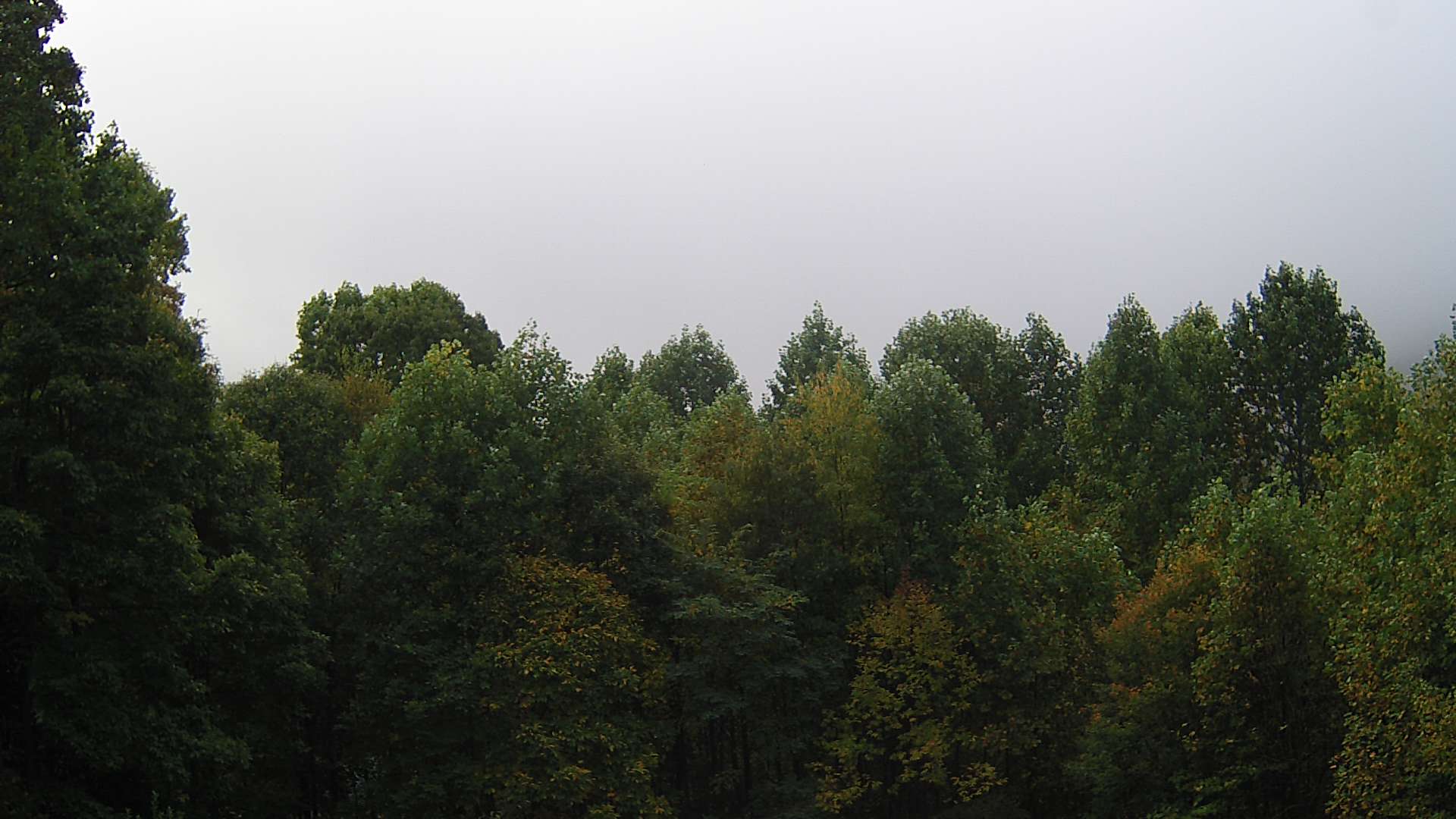 click for next image... slideshow image