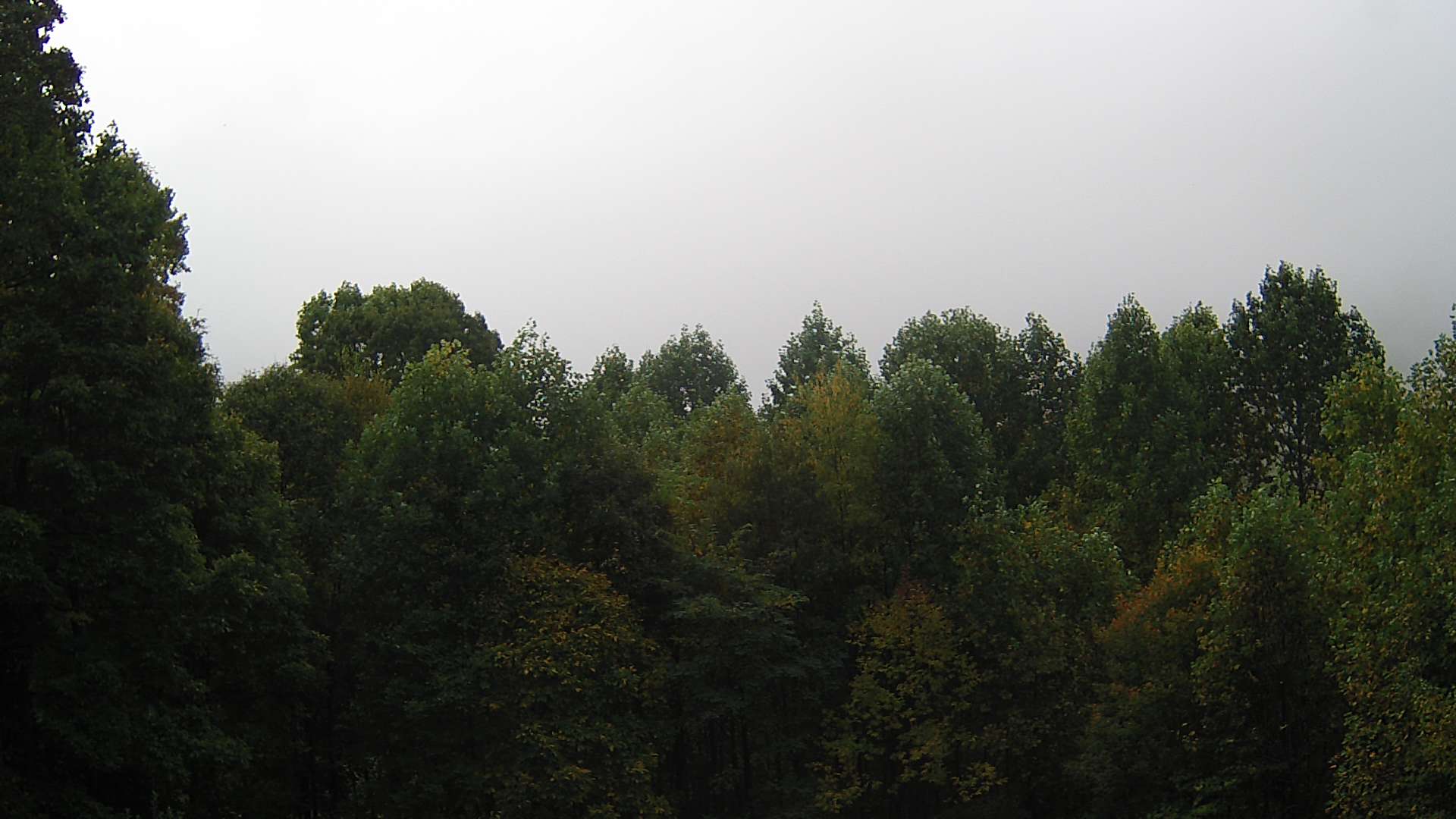 click for next image... slideshow image