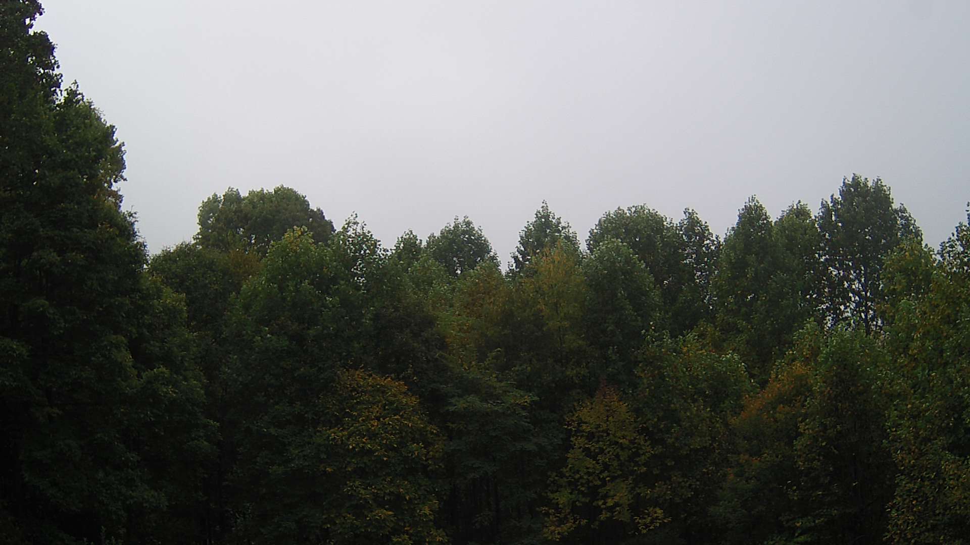 click for next image... slideshow image