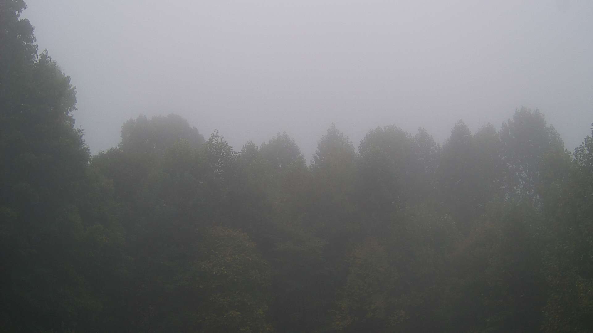 click for next image... slideshow image