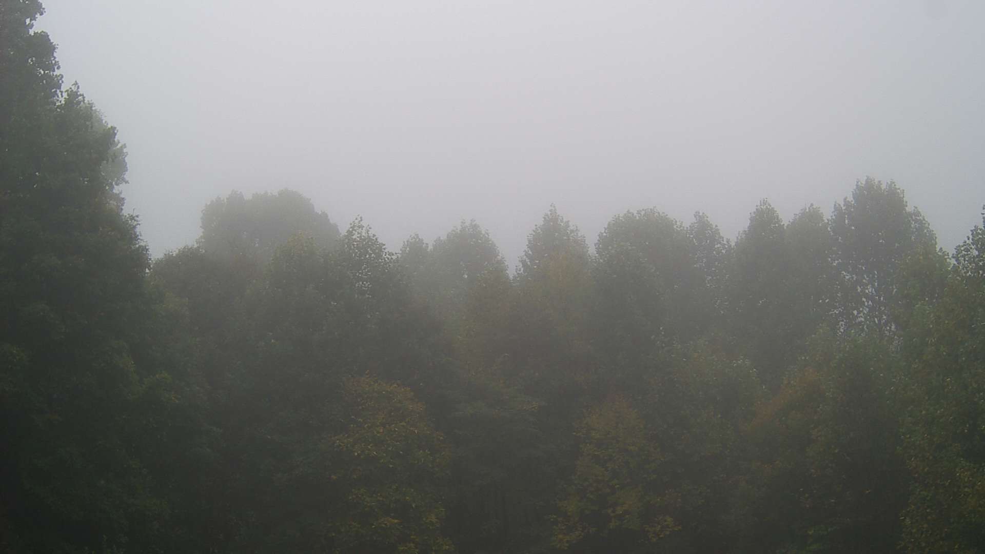 click for next image... slideshow image