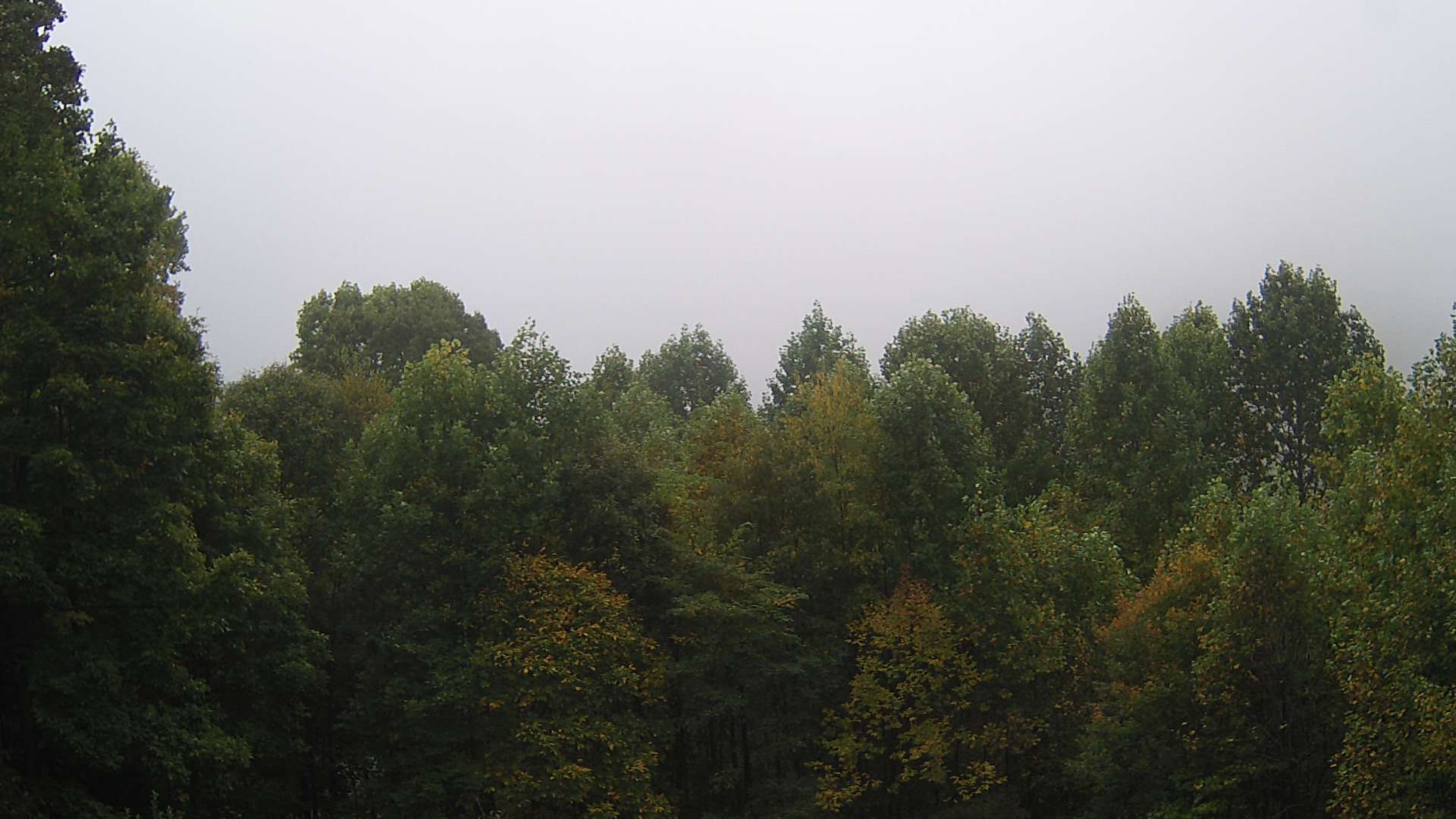 click for next image... slideshow image