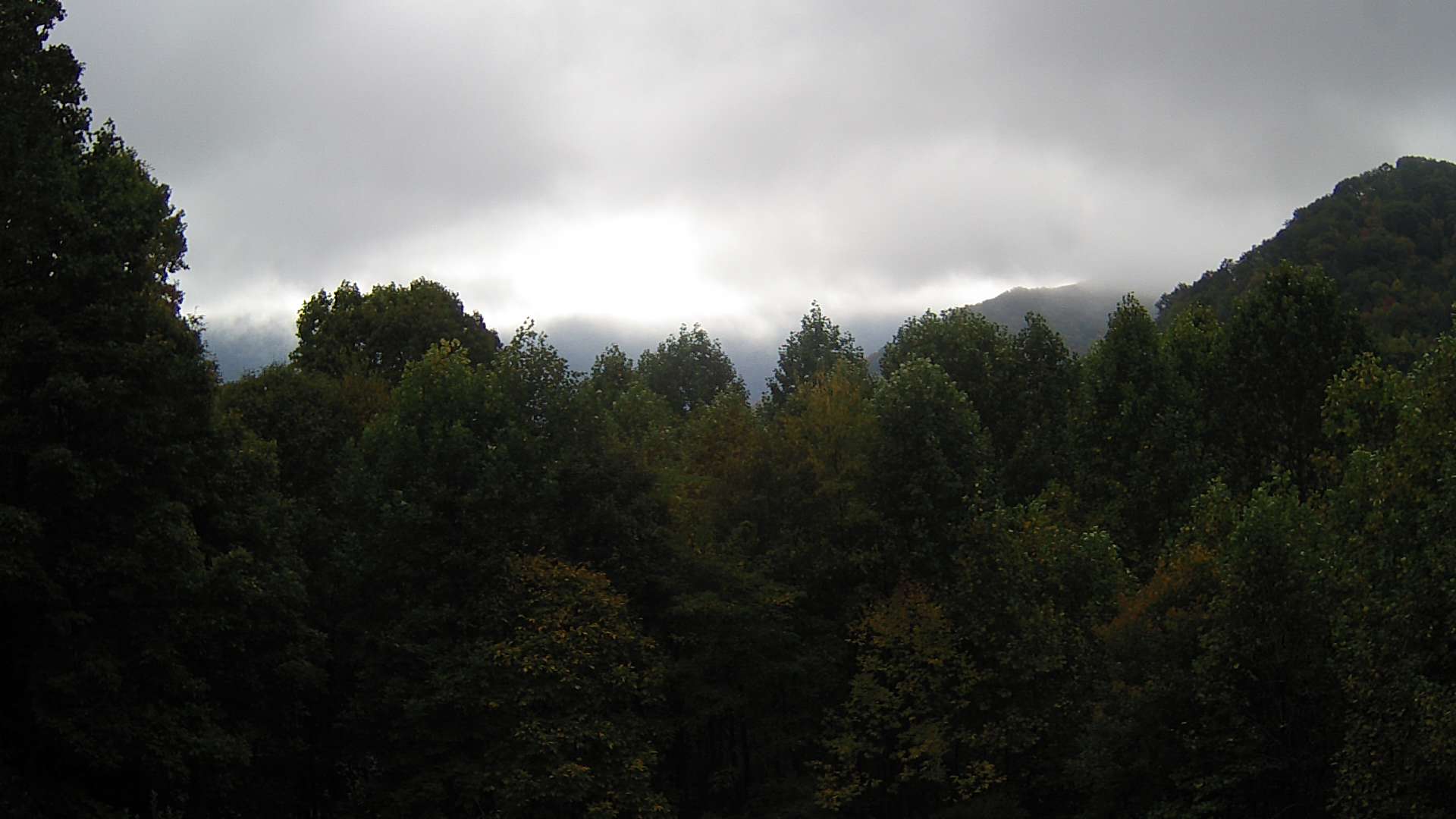 click for next image... slideshow image