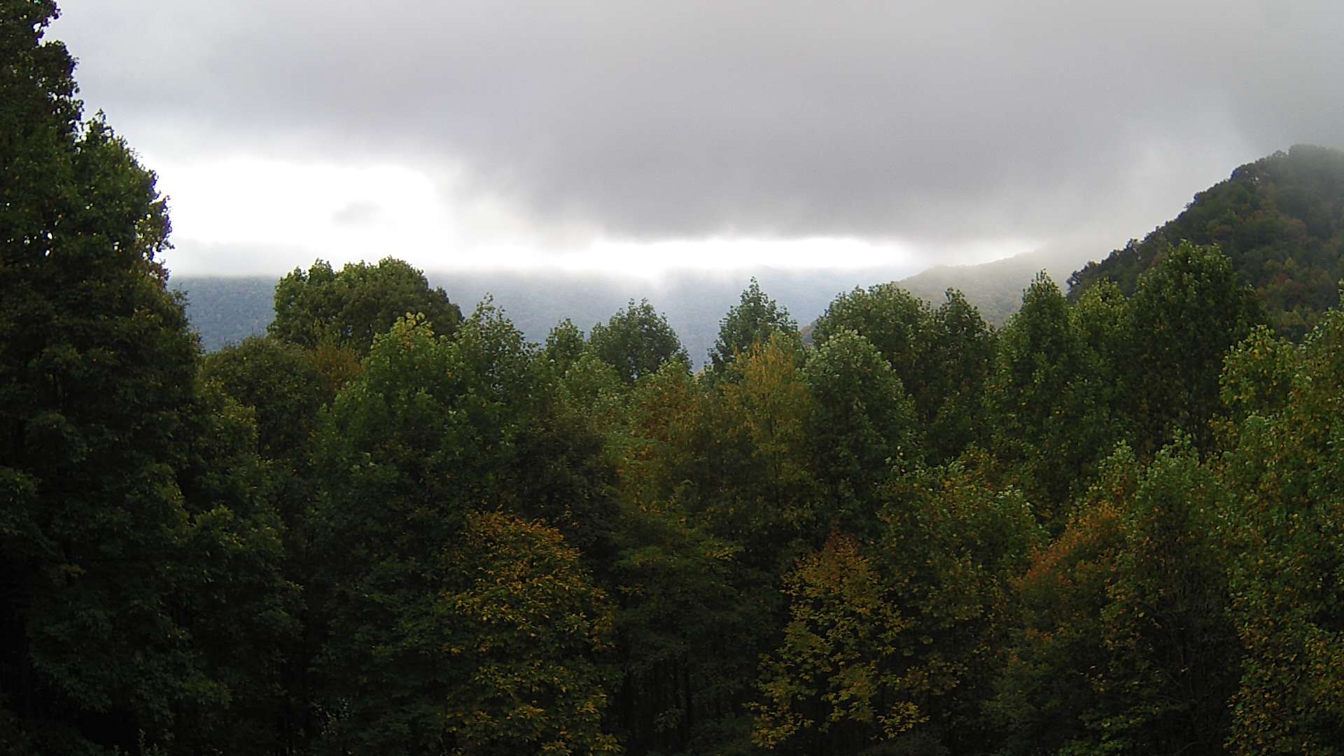 click for next image... slideshow image