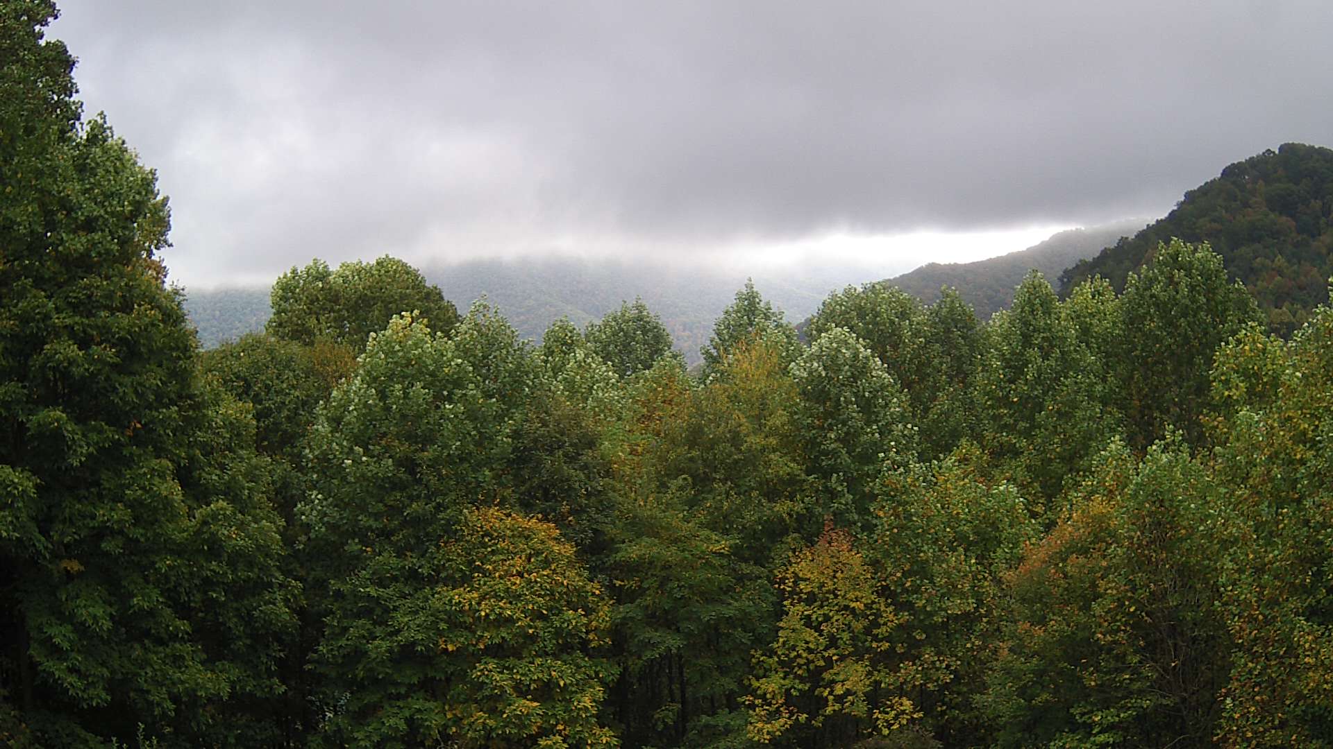 click for next image... slideshow image