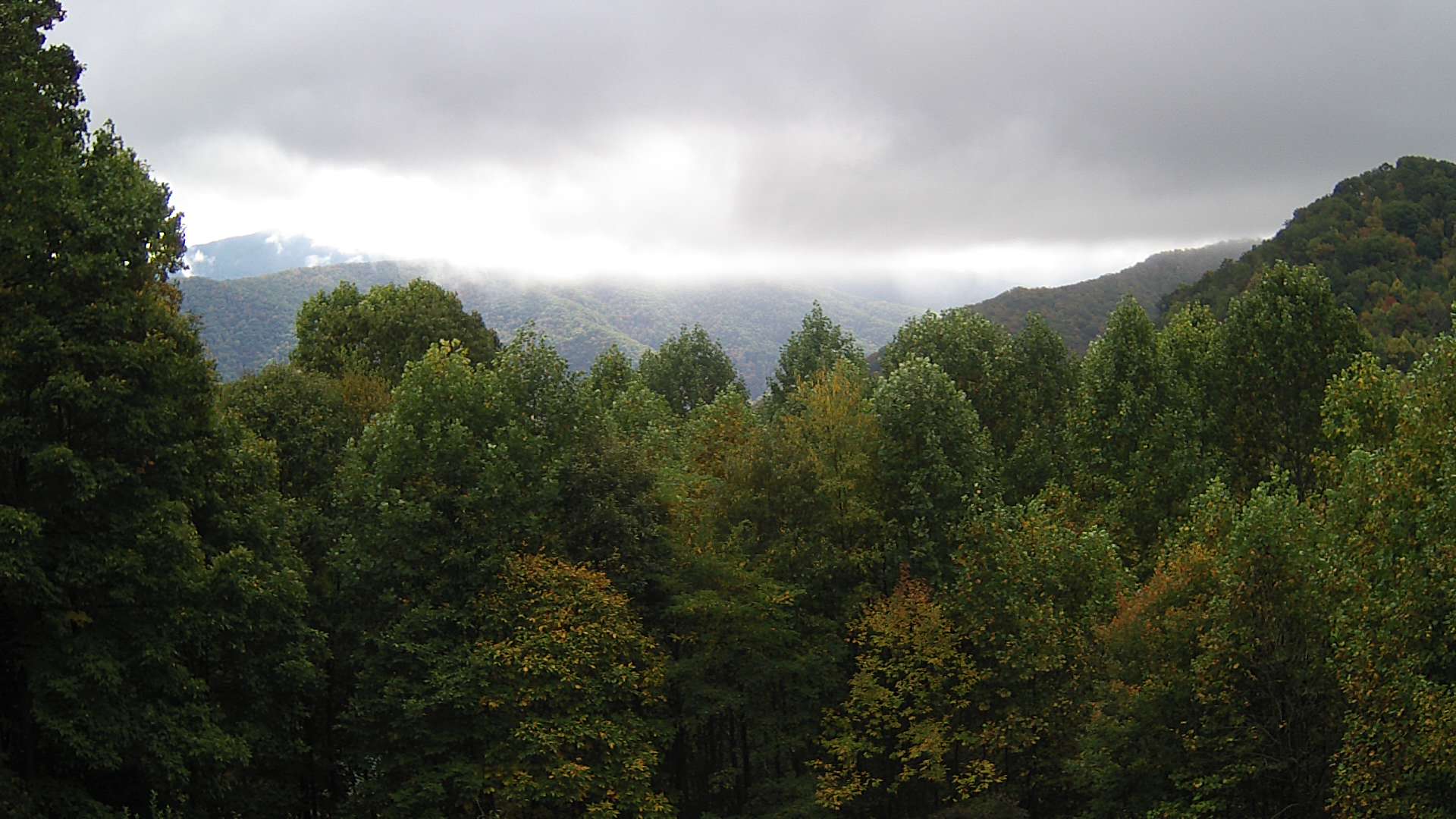 click for next image... slideshow image