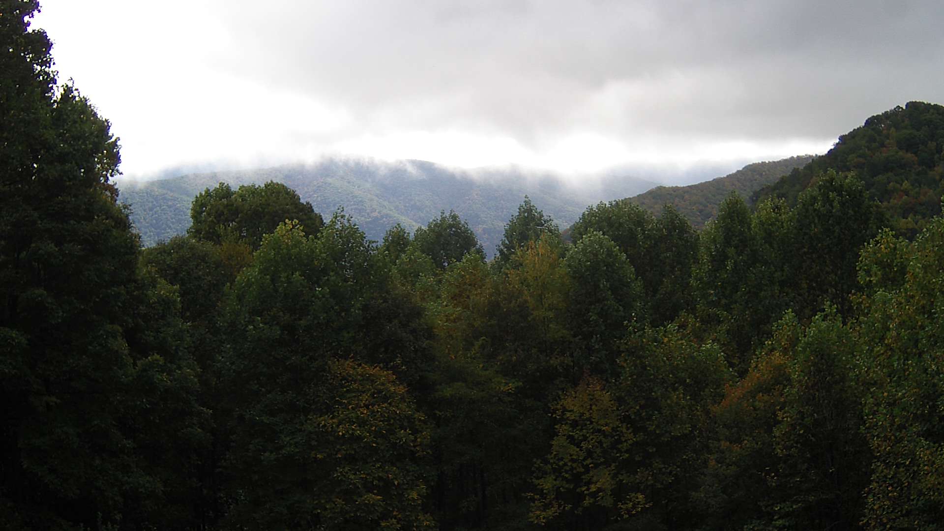 click for next image... slideshow image