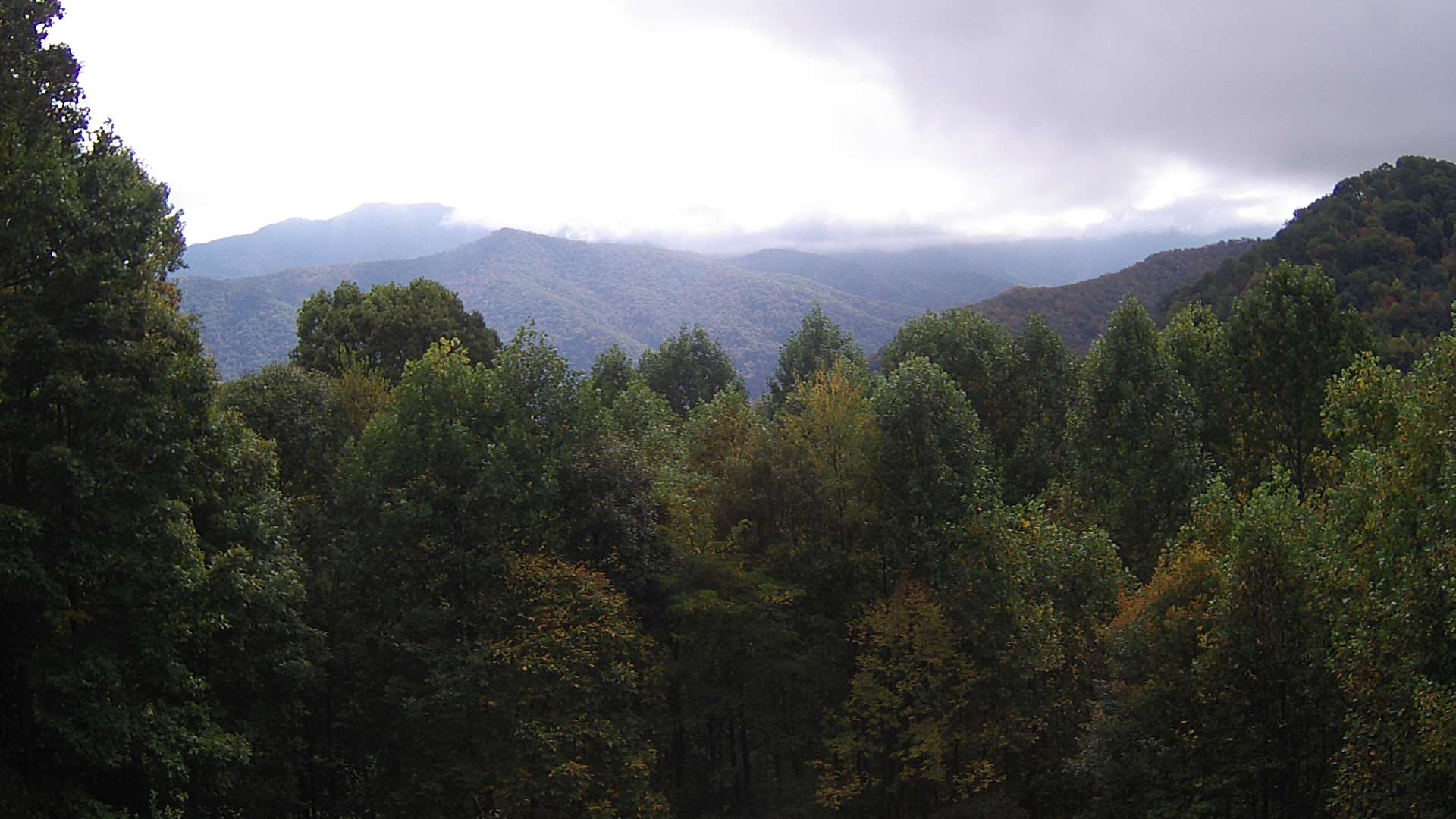 click for next image... slideshow image