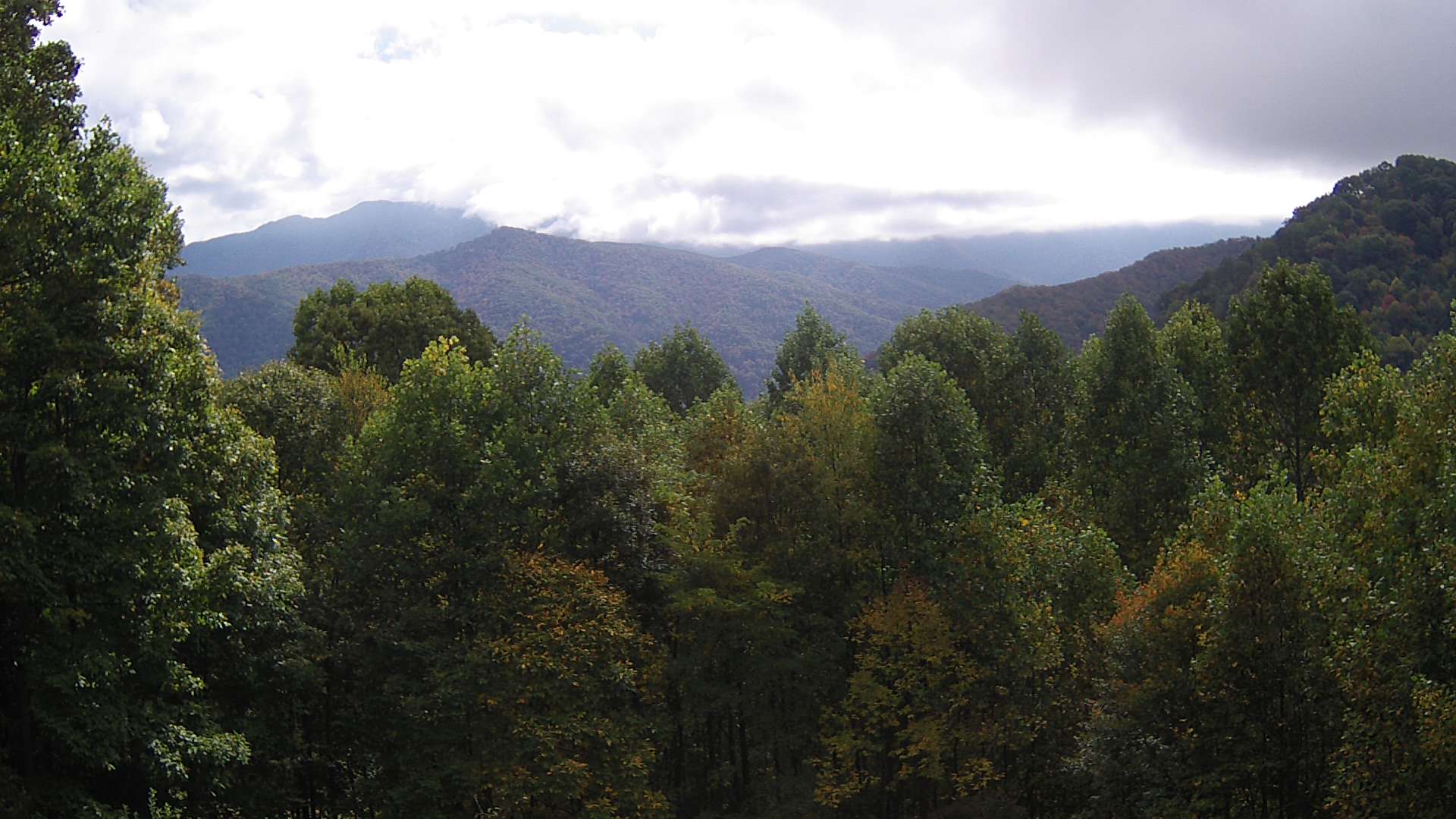 click for next image... slideshow image