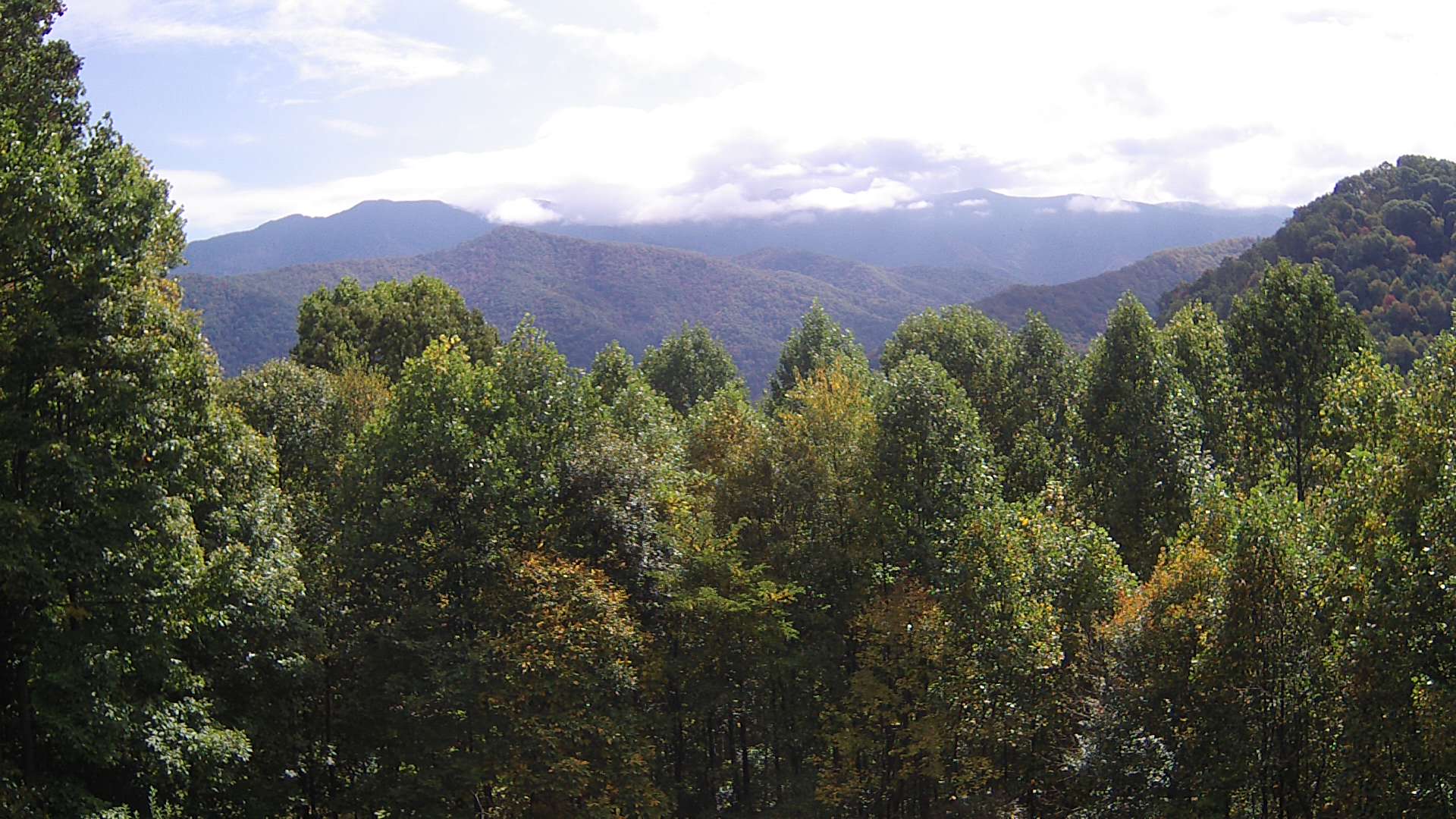 click for next image... slideshow image