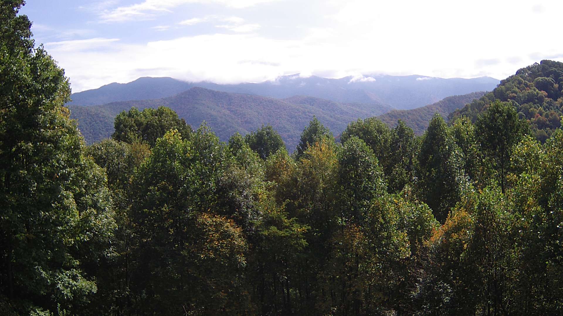 click for next image... slideshow image