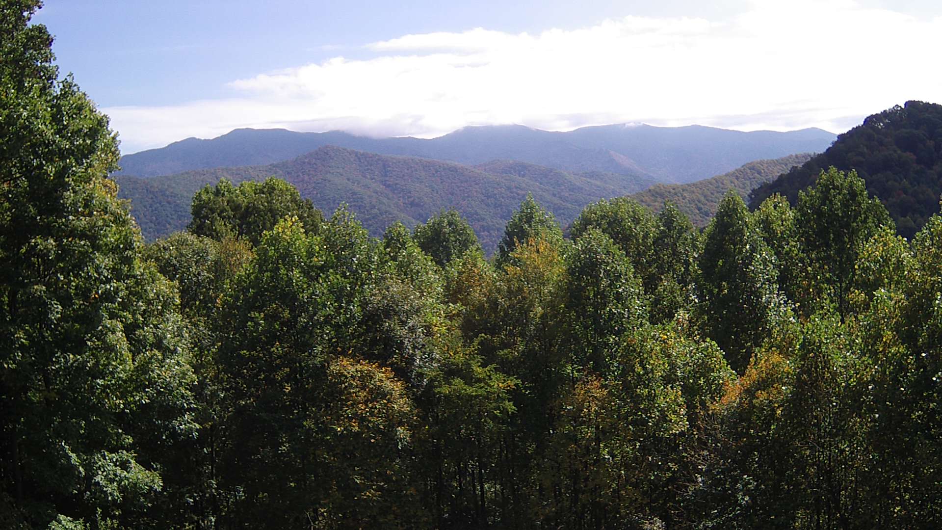 click for next image... slideshow image