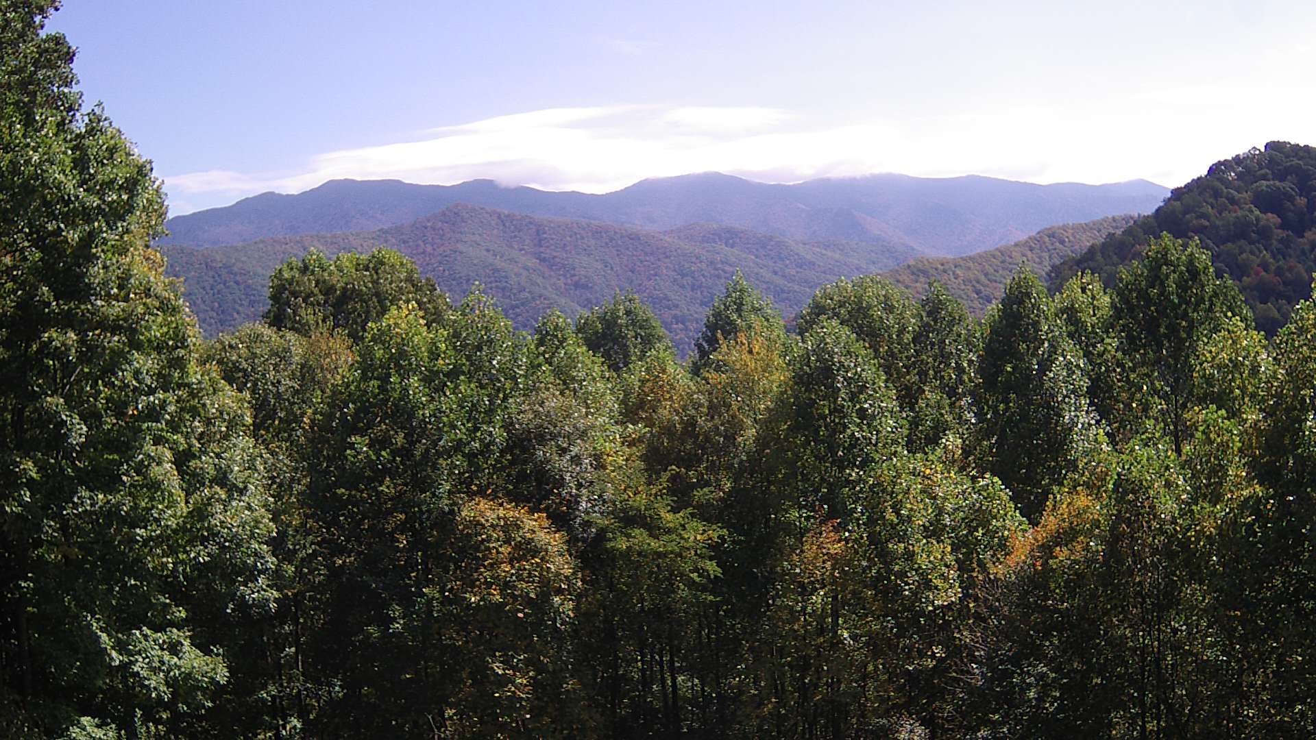 click for next image... slideshow image