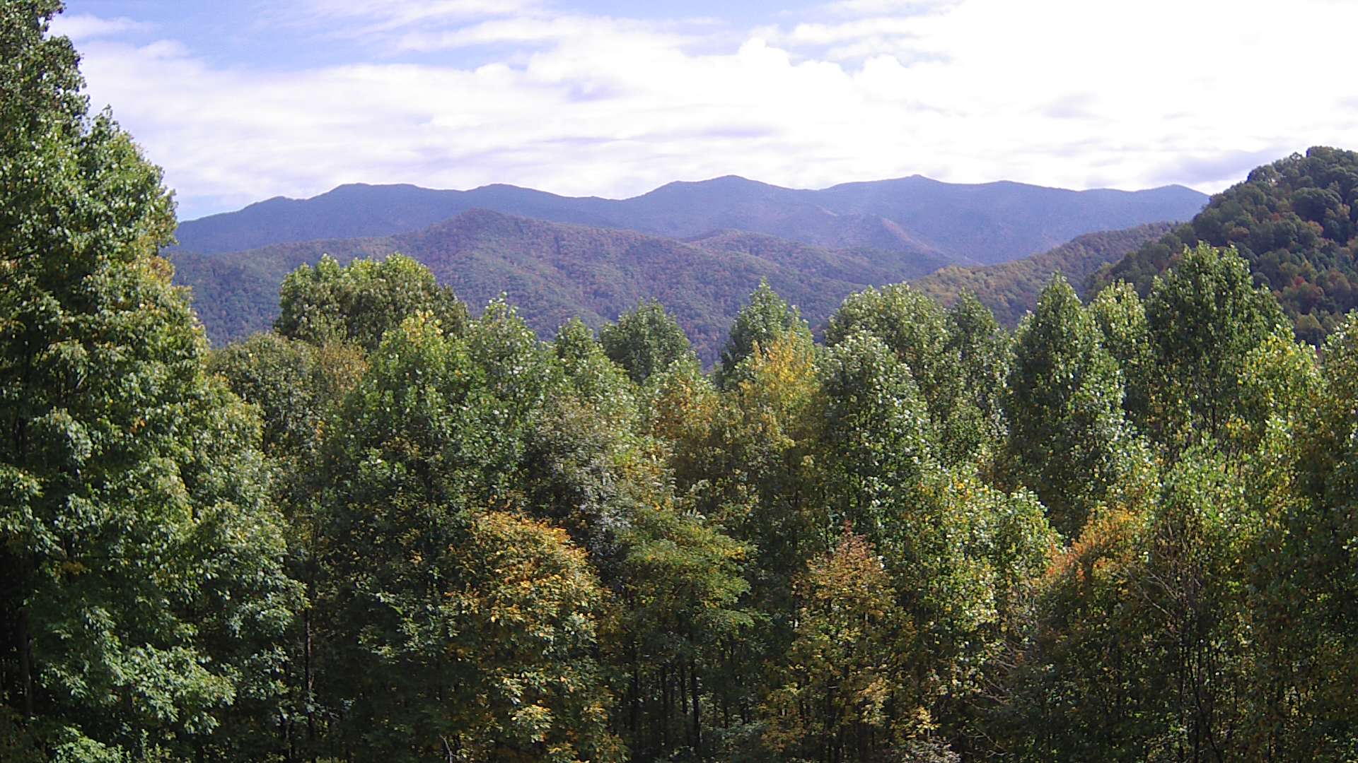 click for next image... slideshow image