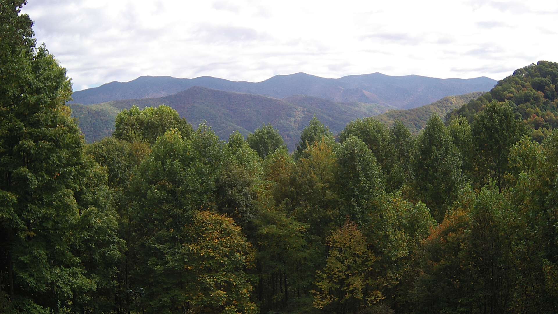 click for next image... slideshow image