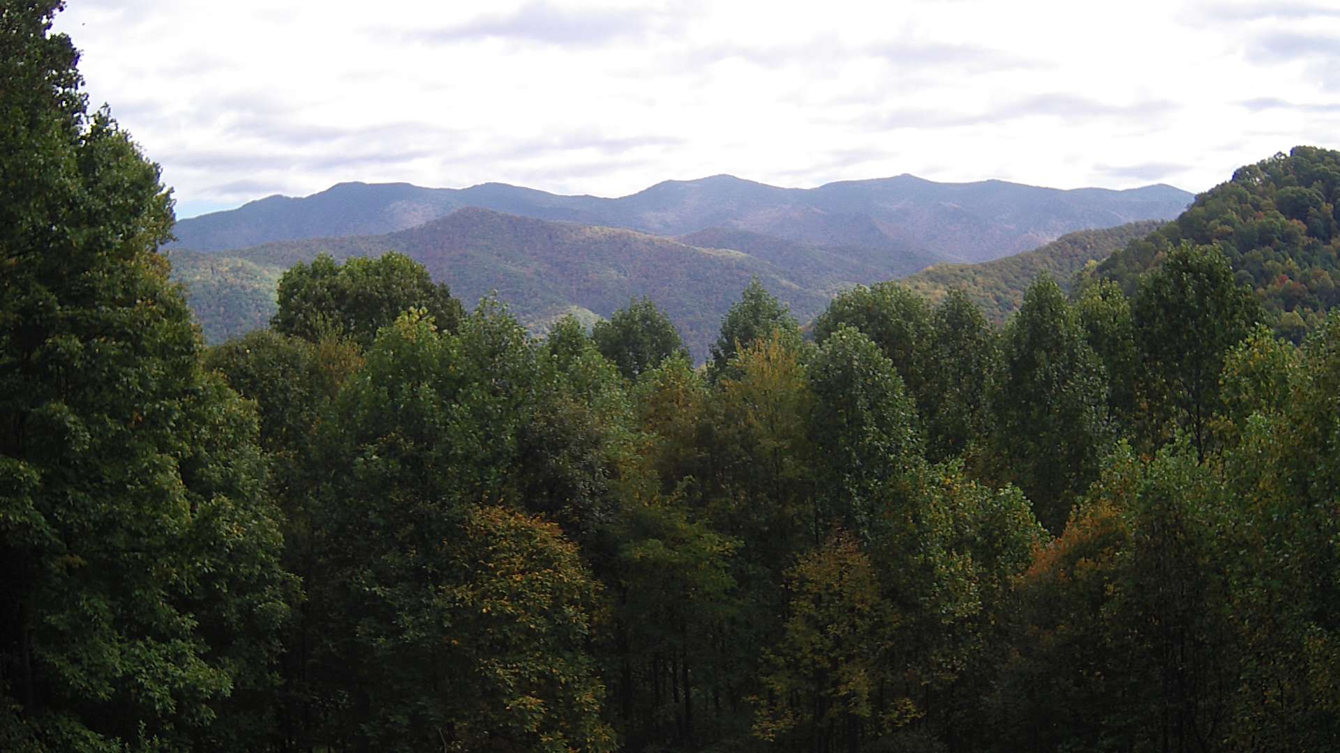 click for next image... slideshow image