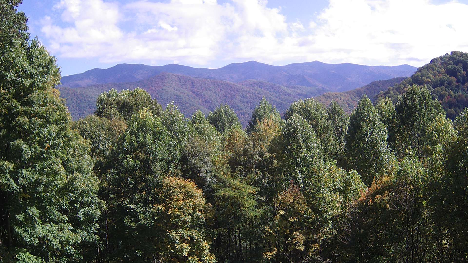 click for next image... slideshow image