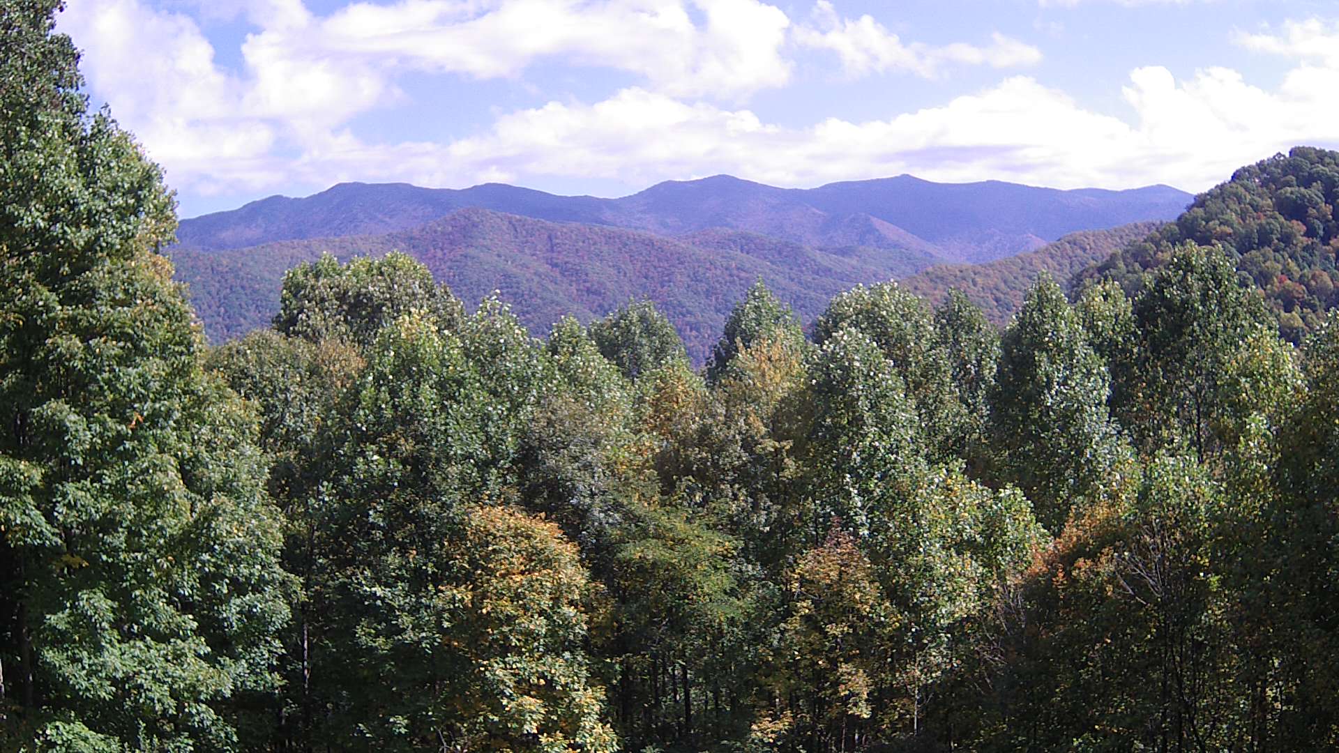 click for next image... slideshow image