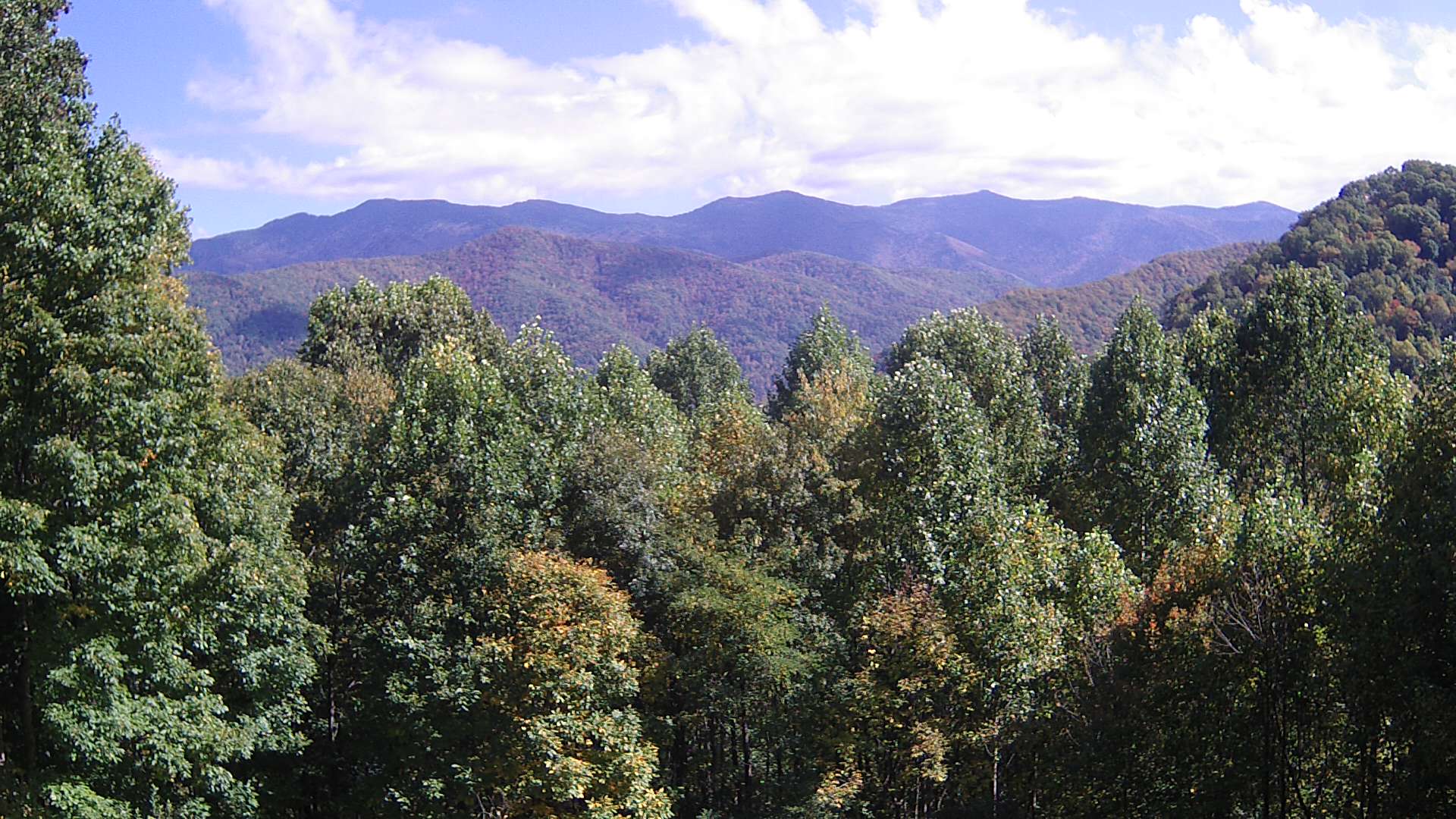 click for next image... slideshow image