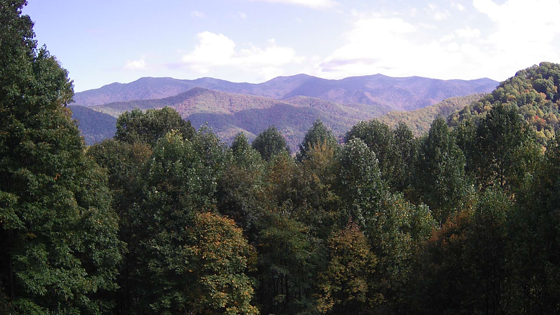 click for next image... slideshow image